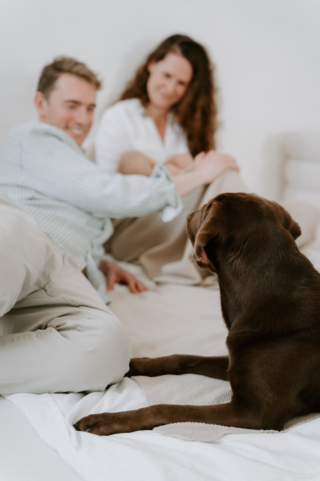 Familienshootoing mit Hund Köln - Bohoandclassy Fotografie(21 von 28).jpg
