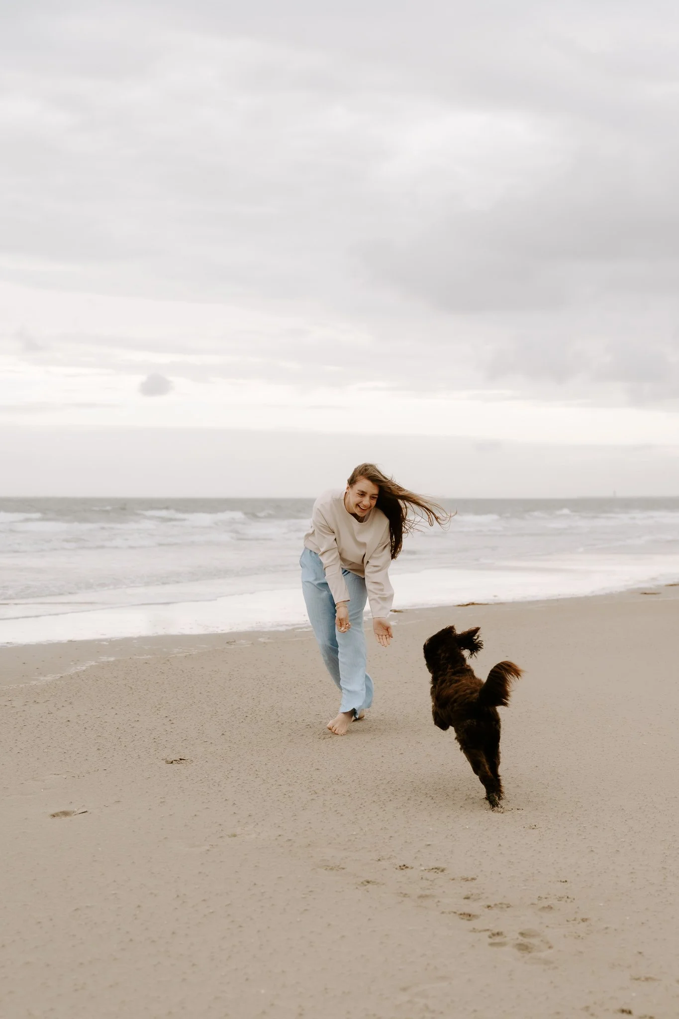 Hundefotos Holland am Strand(13 von 39).jpg
