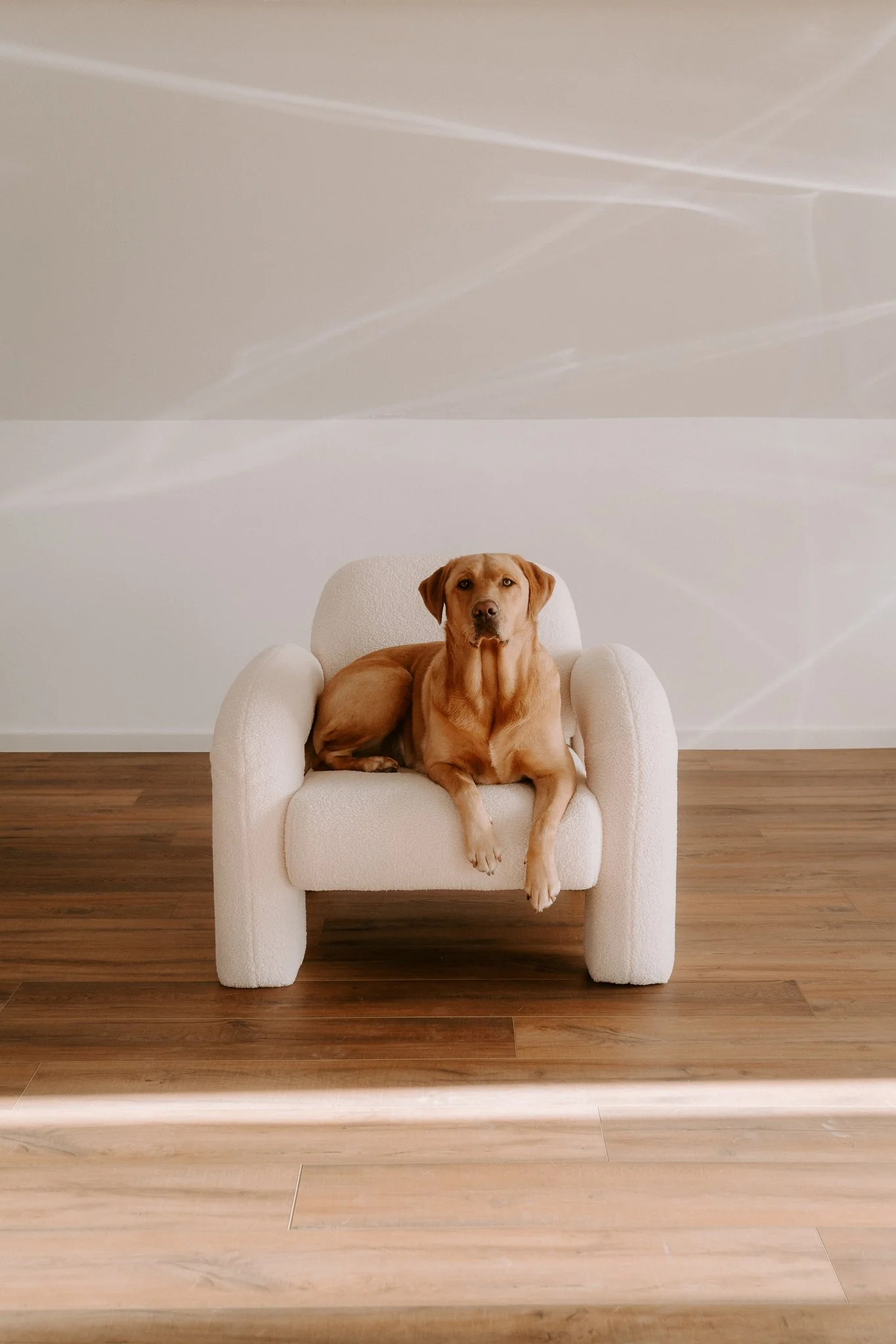 HUndefotos Köln Studio (1 von 4).jpg