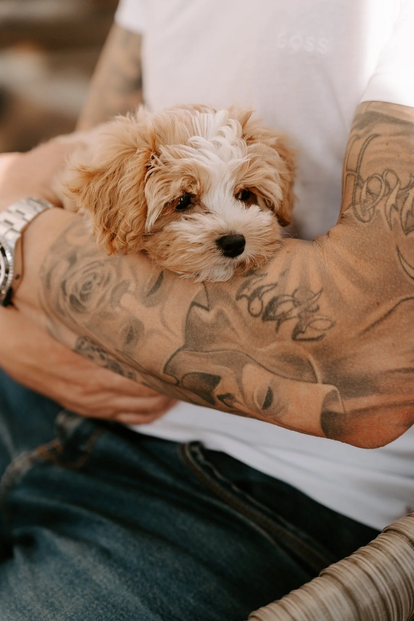 Hundefotografie Outdoor Köln(63 von 134).jpg