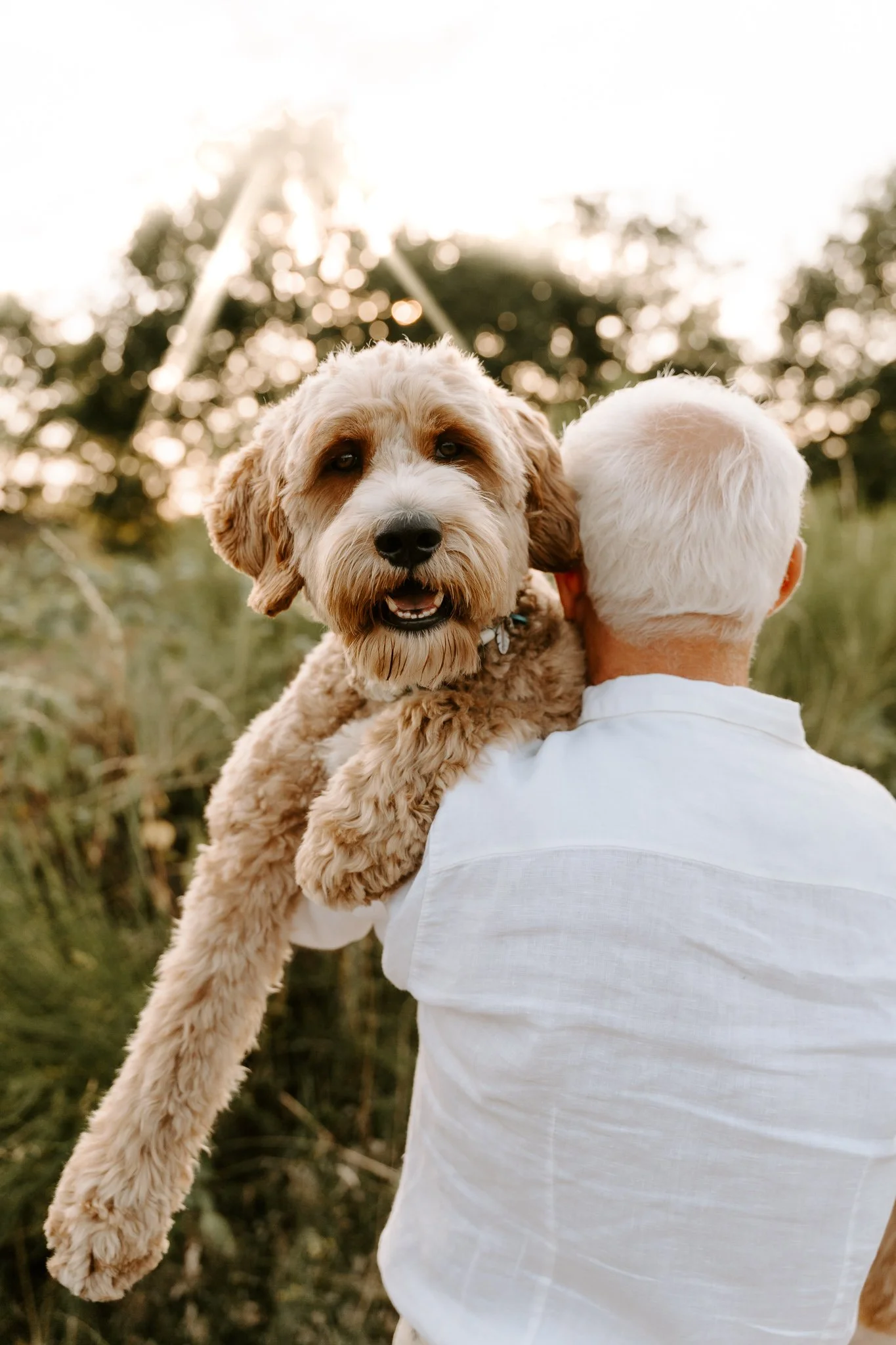 Hundefotografie outdoor Köln (40 von 101).jpg