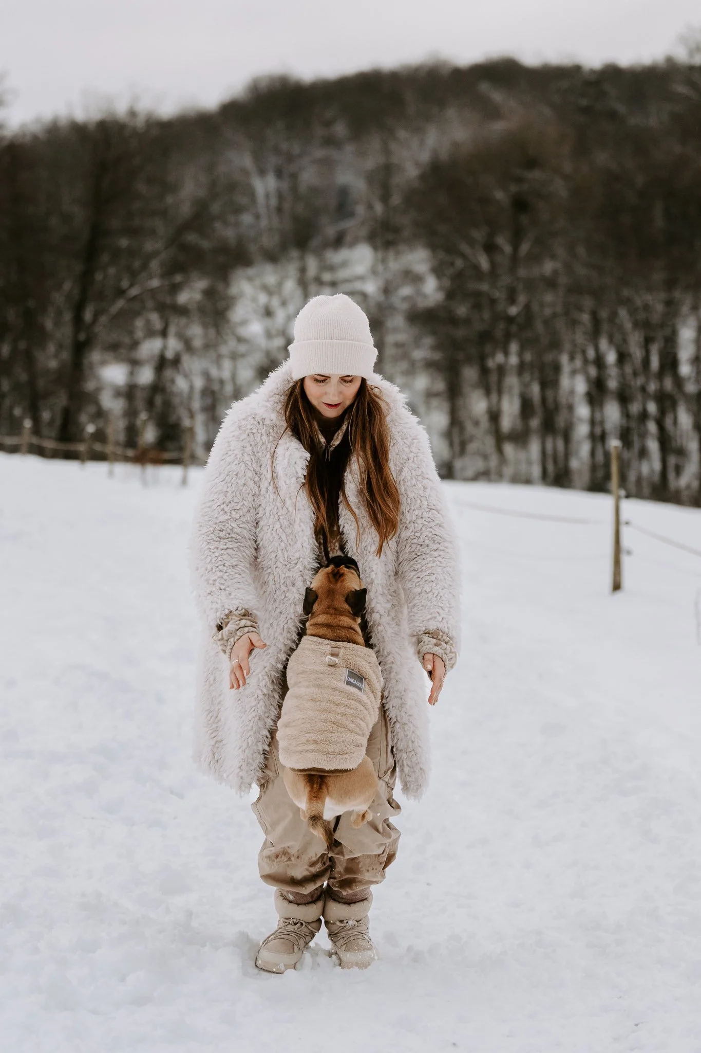 Hundefotos im Schnee Köln (53 von 92).jpg