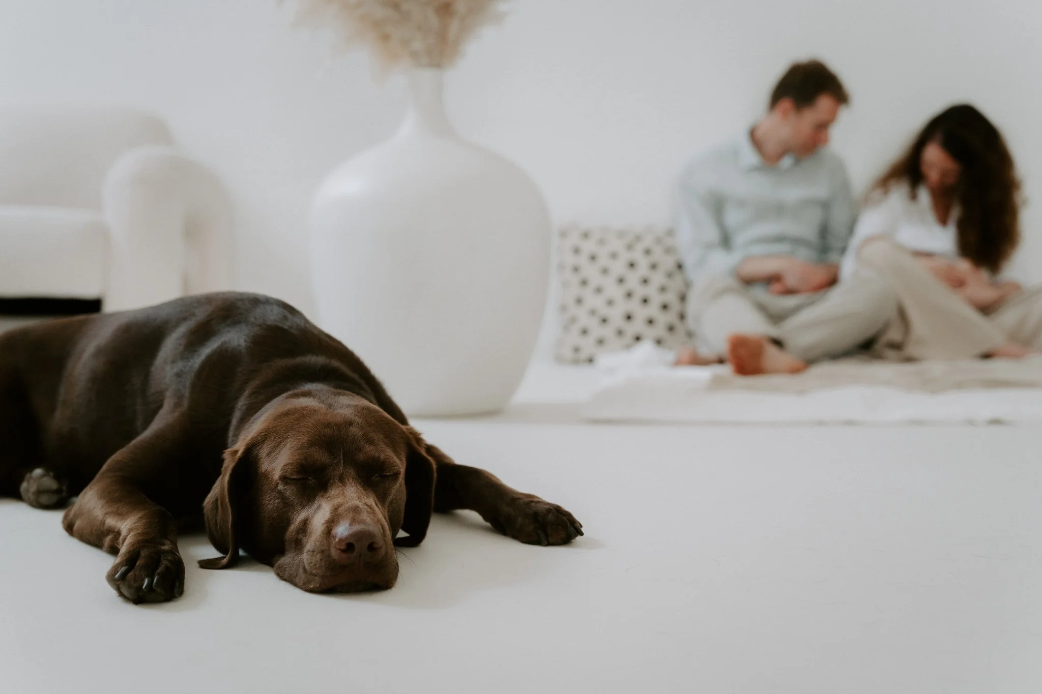Familienshootoing mit Hund Köln - Bohoandclassy Fotografie(24 von 28).jpg