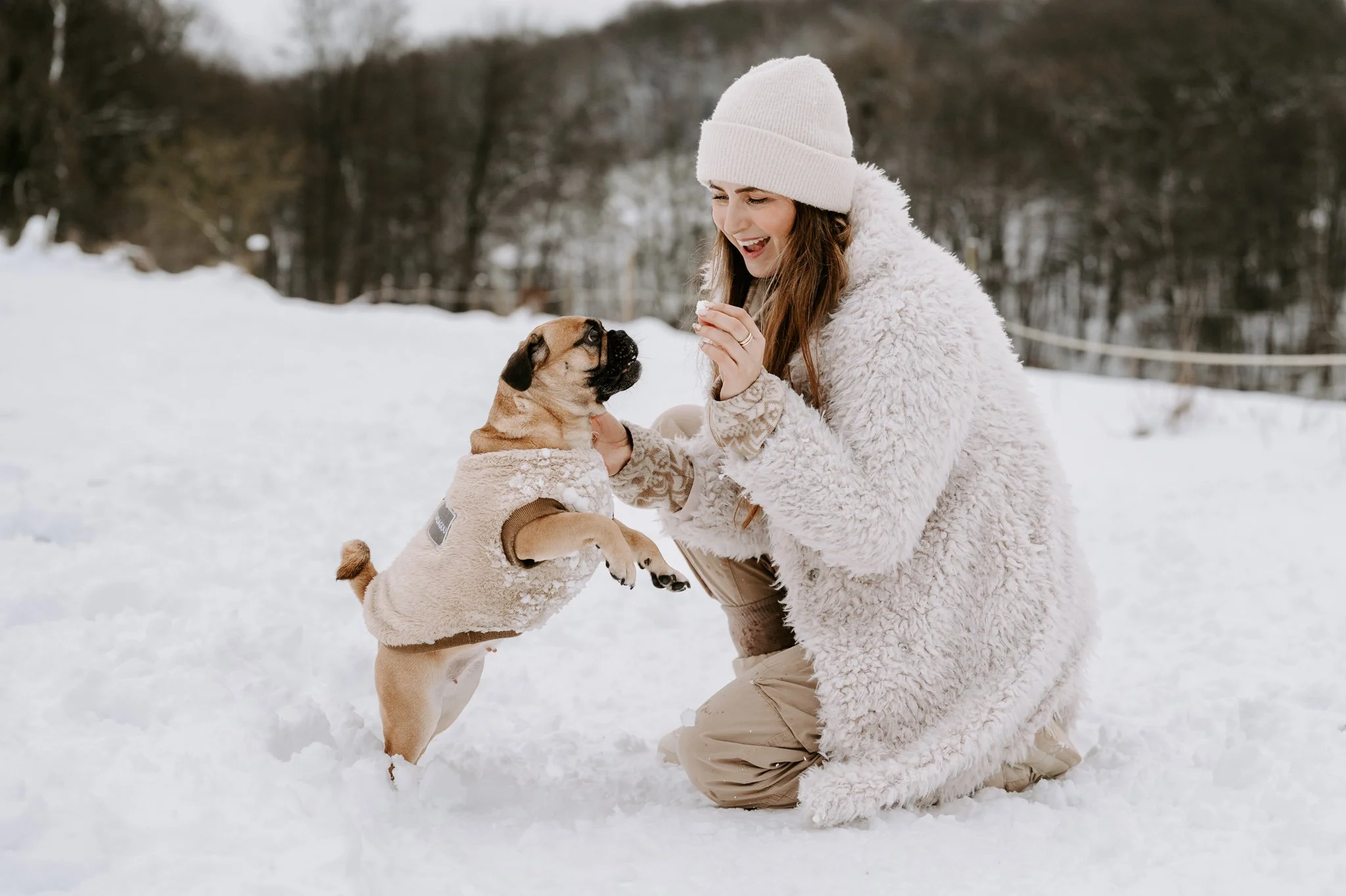 Hundefotos im Schnee Köln (47 von 92).jpg