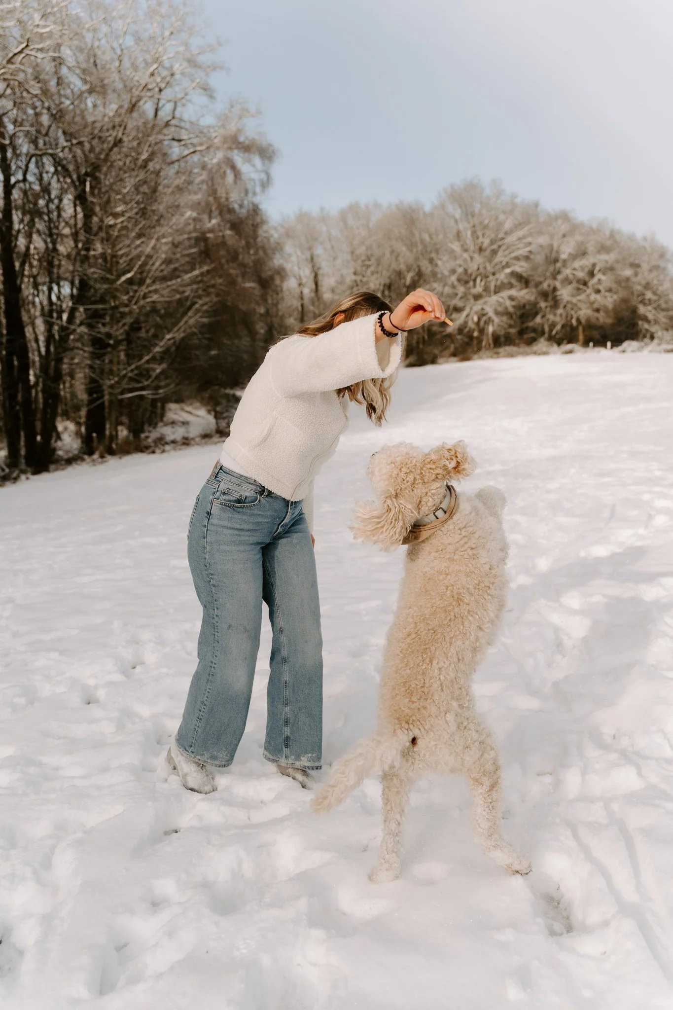 Fotoshooting mit Hund Köln (64 von 102).jpg