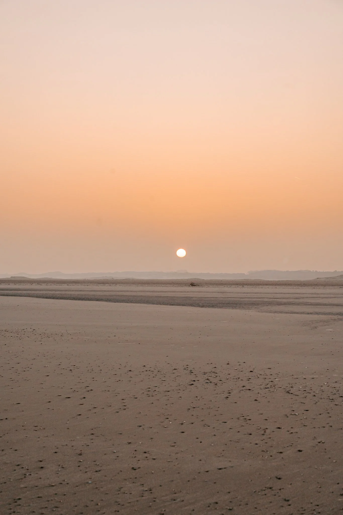 Hundefotografie Holland (10 von 13).jpg