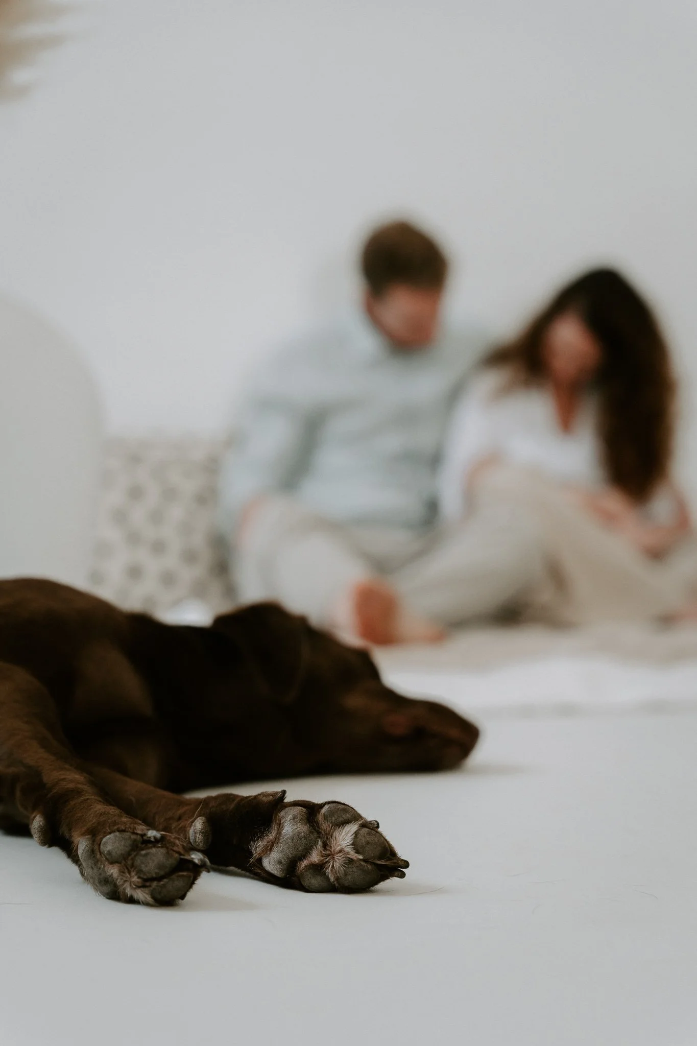 Familienshootoing mit Hund Köln - Bohoandclassy Fotografie(25 von 28).jpg
