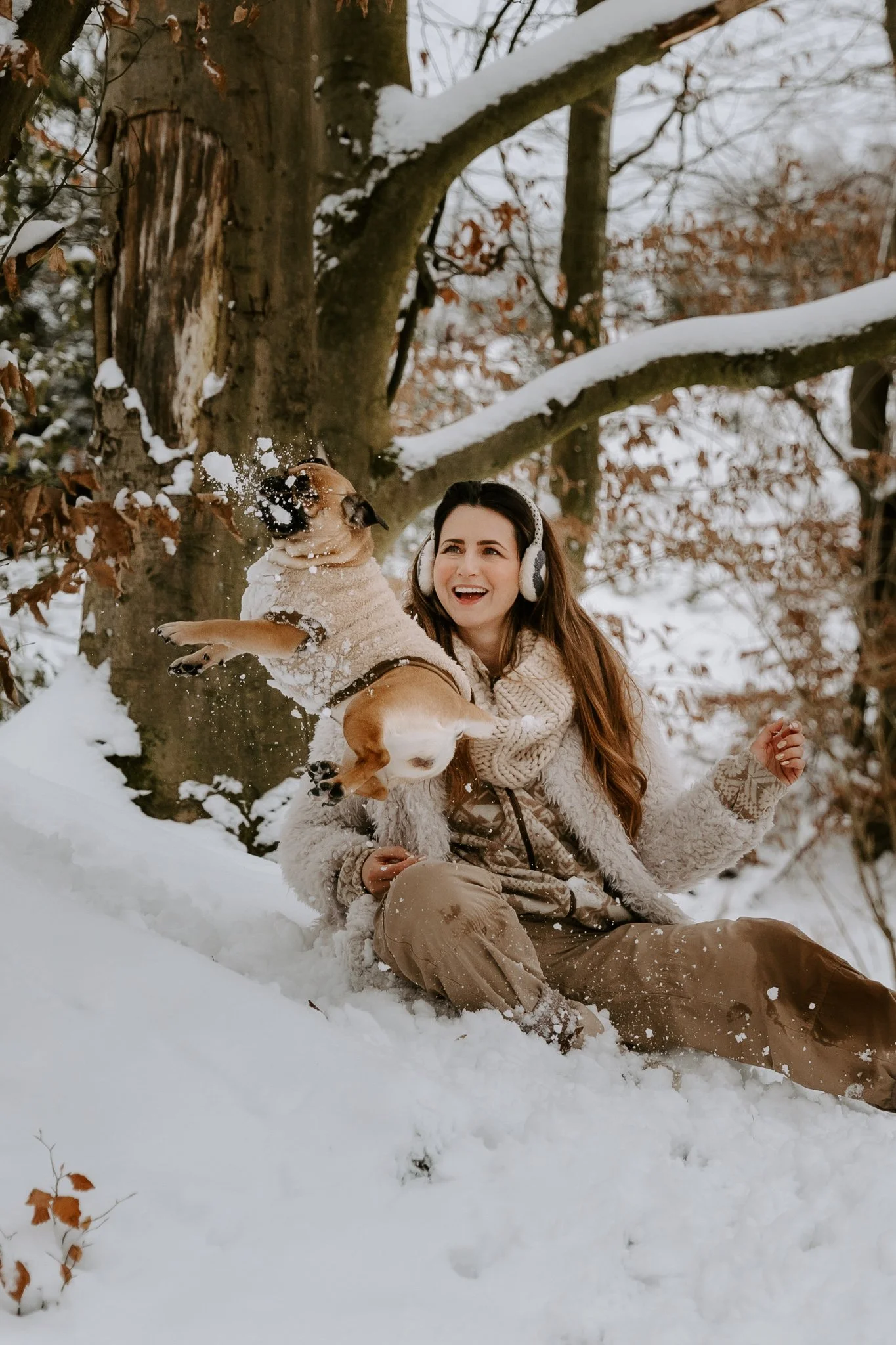 Hundefotos im Schnee Köln (91 von 92).jpg