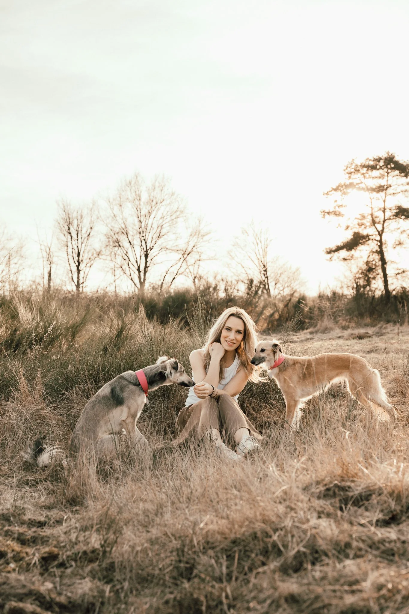 Businessshooting mit Hund in Köln (30 von 35).jpg
