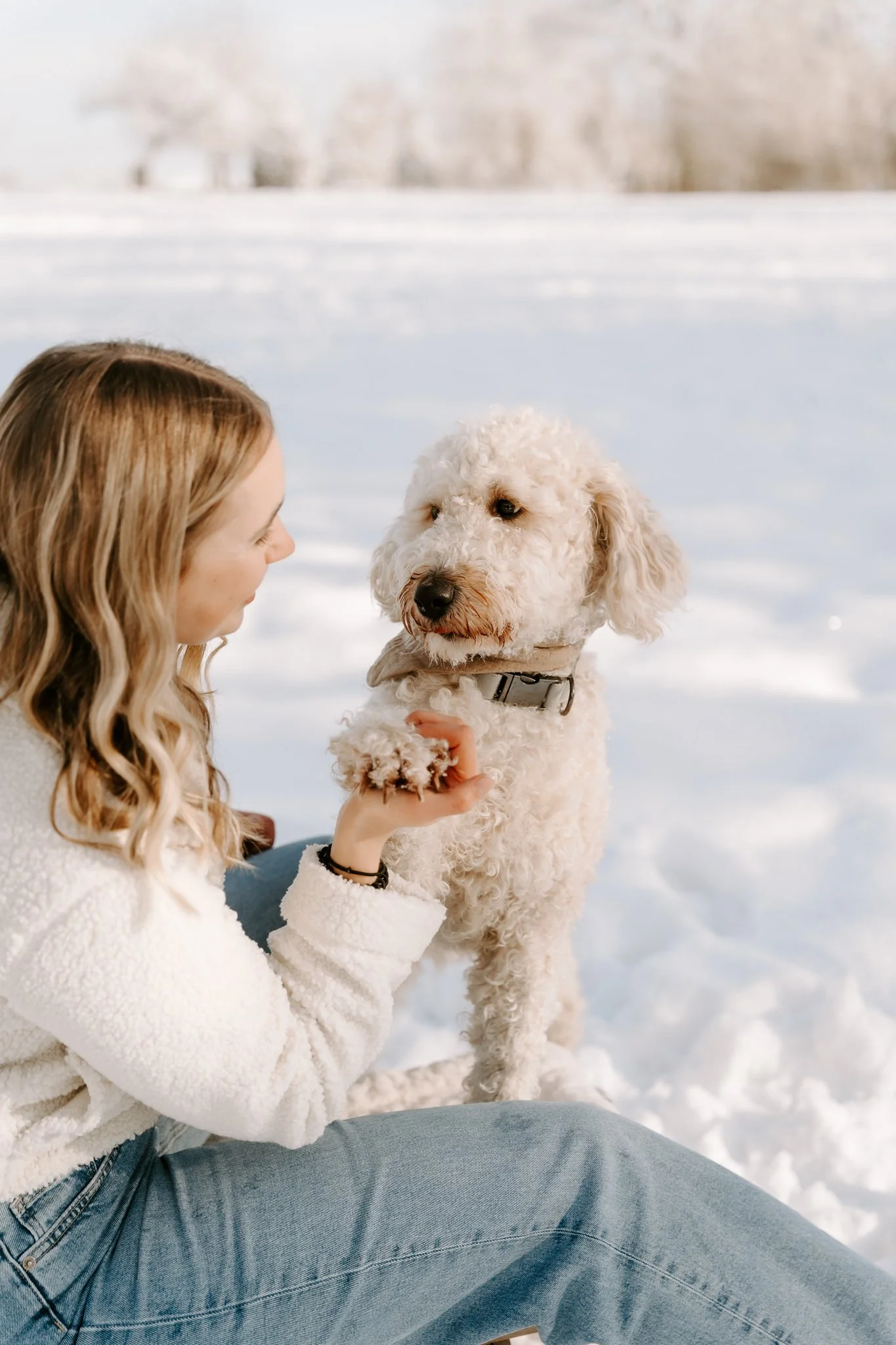 Fotoshooting mit Hund Köln (19 von 102).jpg