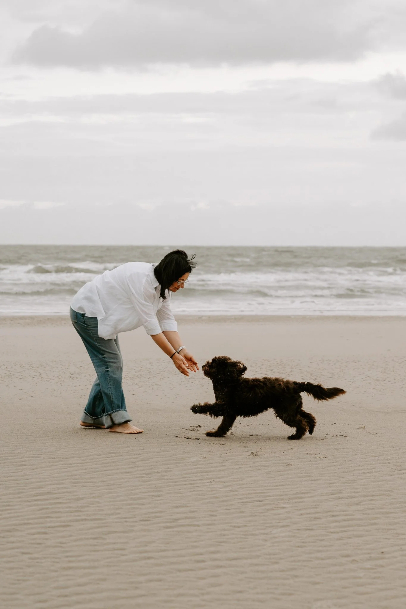 Hundefotos Holland am Strand(2 von 39).jpg