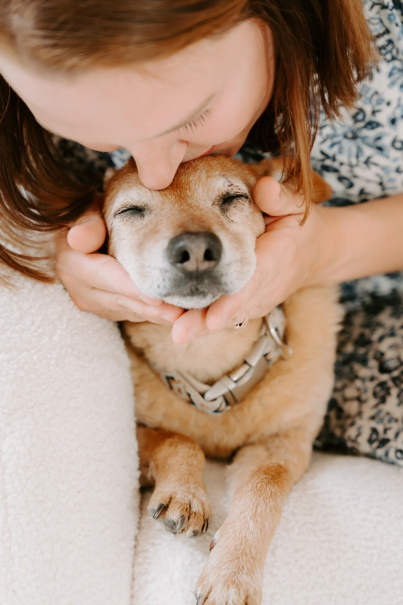 Hundefotografie Köln(6 von 12).jpg