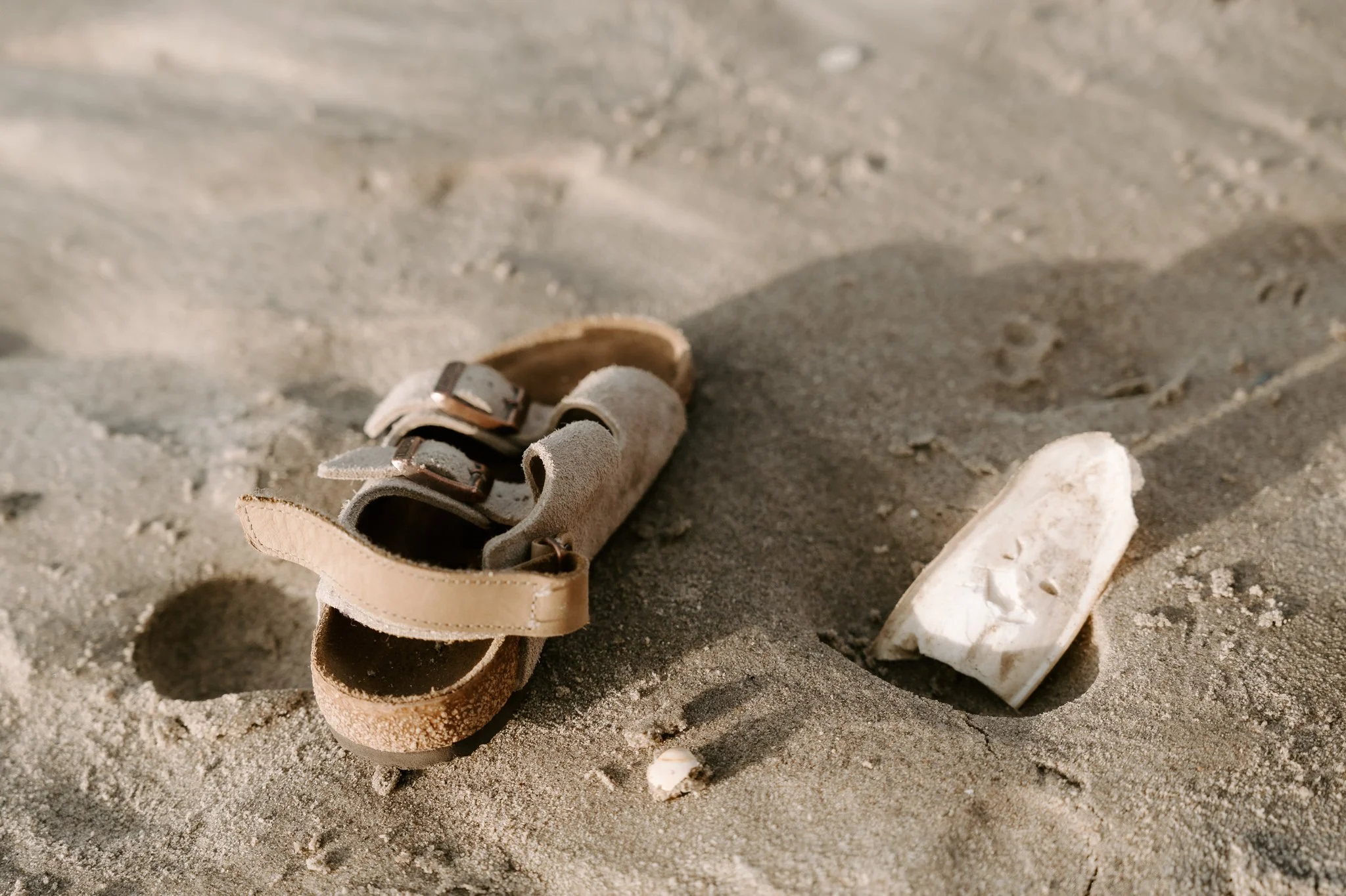 Familienshooting mit Hund in Holland am Strand (28 von 56).jpg