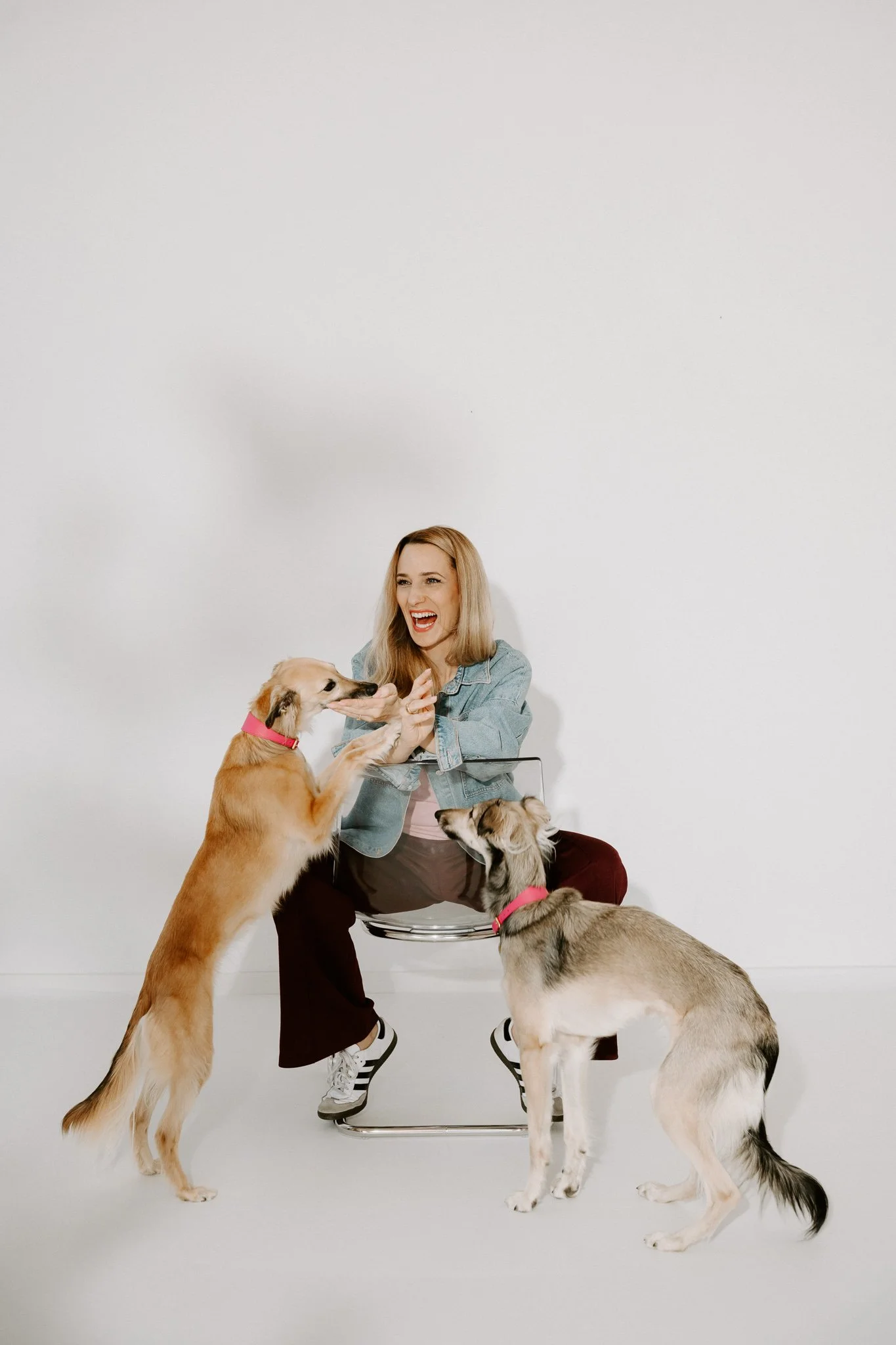 Businessshooting mit Hund in Köln (18 von 35).jpg