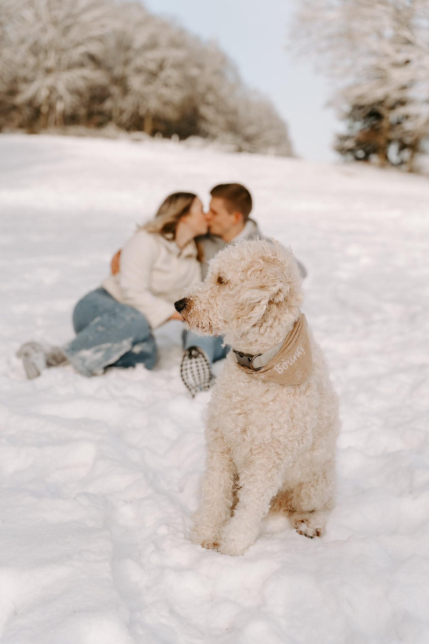 Fotoshooting mit Hund Köln (86 von 102).jpg