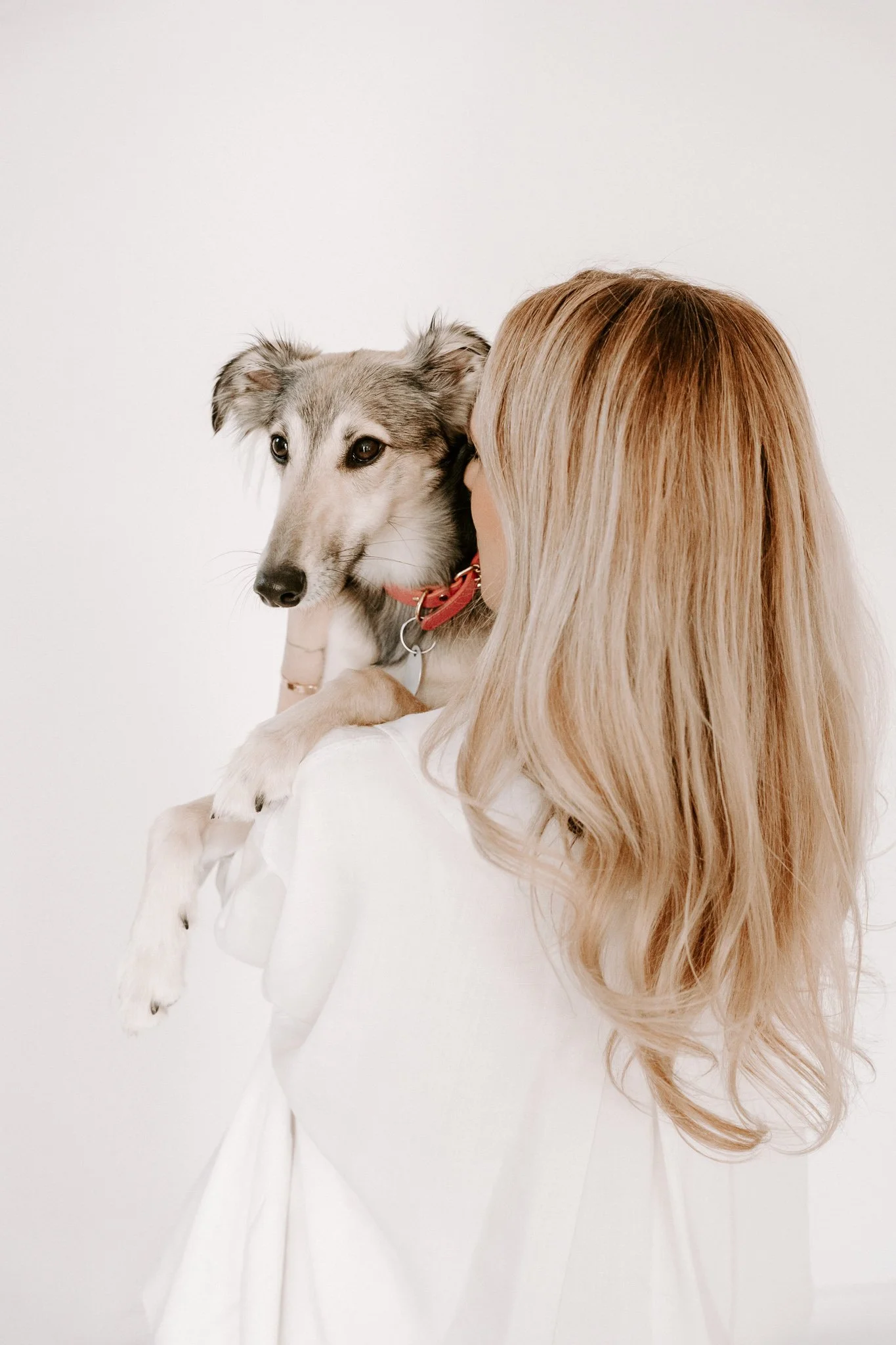 Businessshooting mit Hund in Köln (26 von 35).jpg