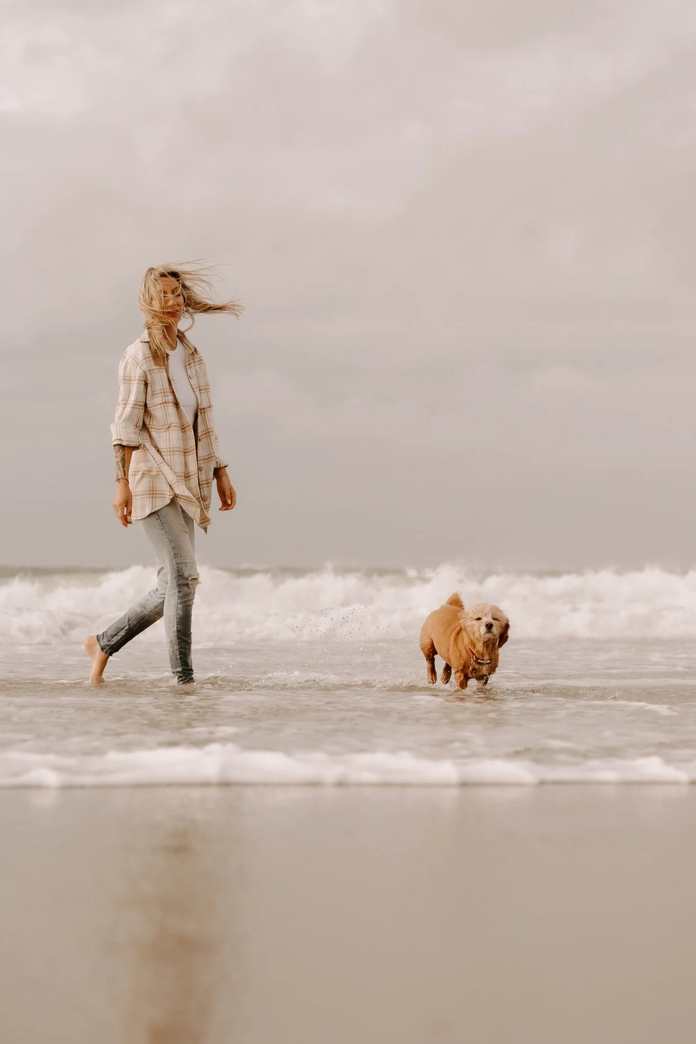 Hundefotos in Zeeland am Strand