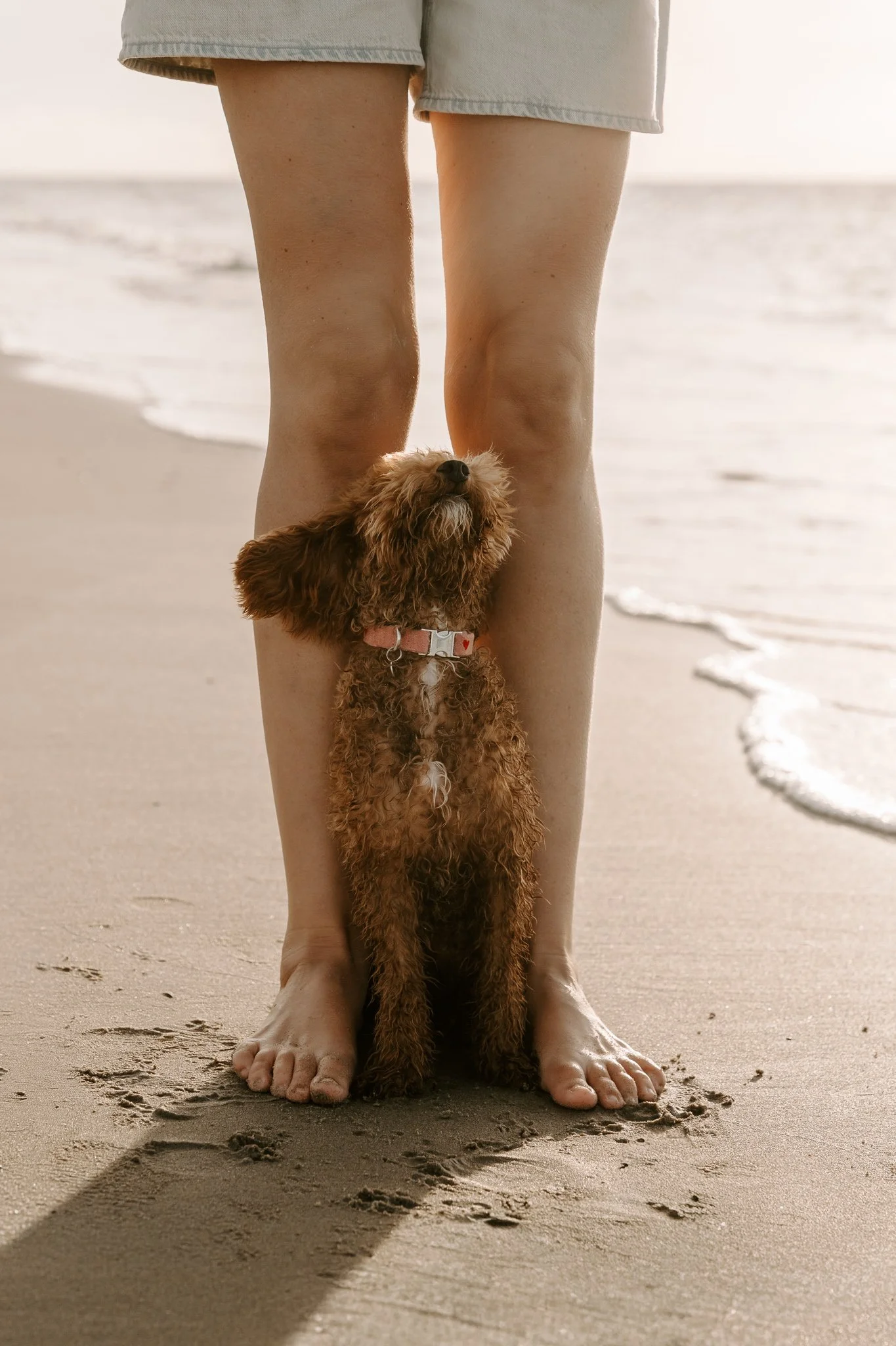 Familienshooting mit Hund in Holland am Strand (36 von 56).jpg