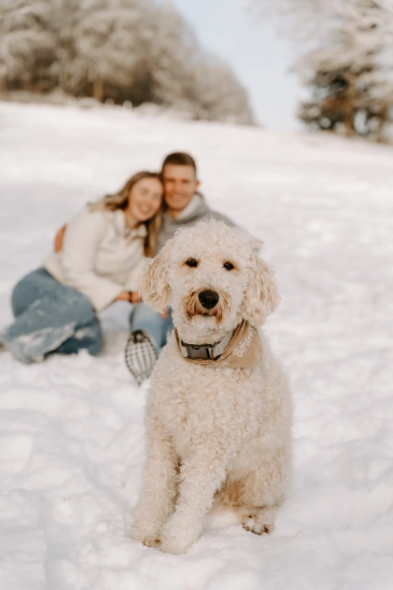 Ein Hund steht im Schnee mit zwei lächelnden Menschen im Hintergrund