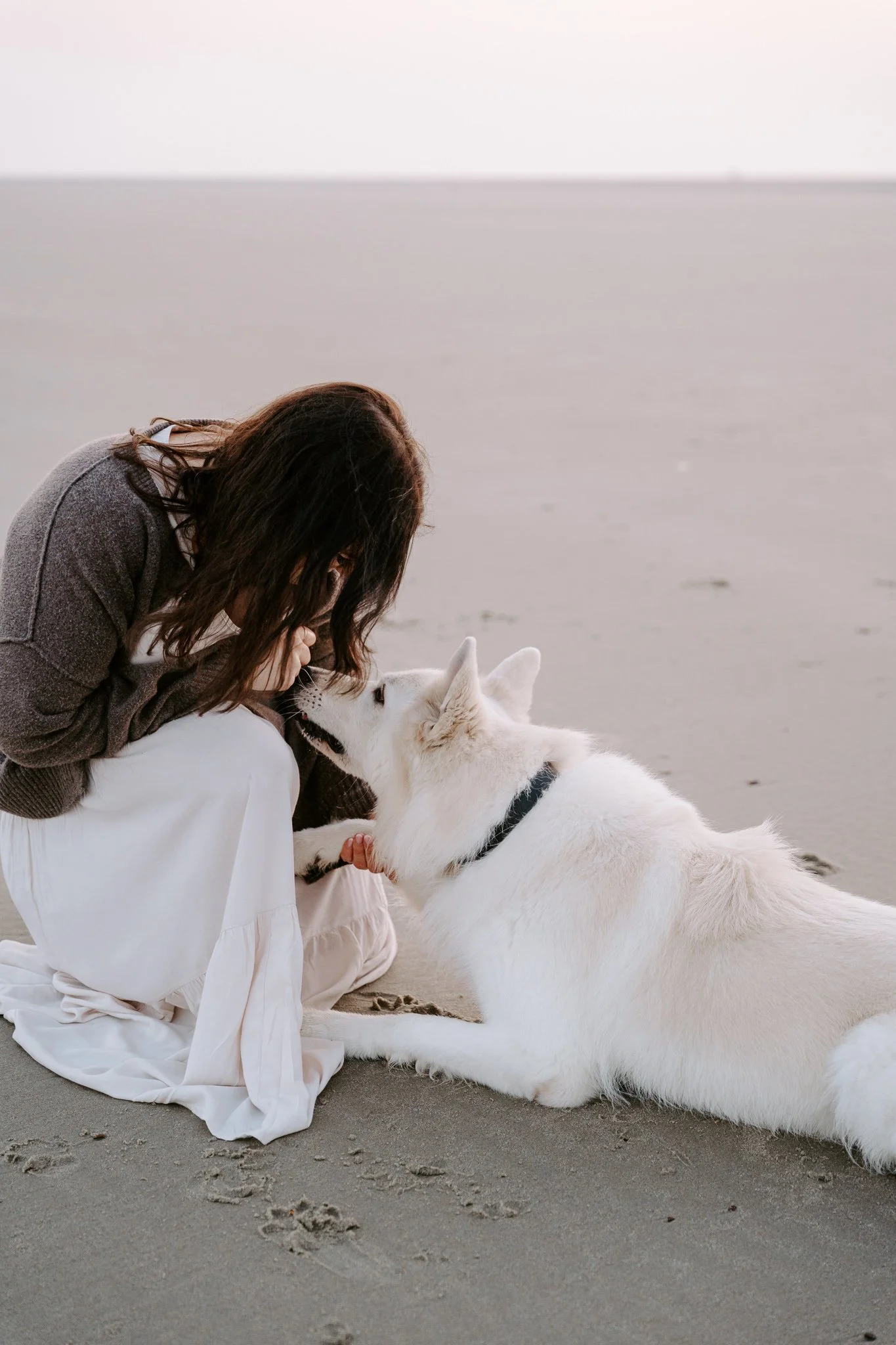 Hundefotografie Holland (4 von 13).jpg
