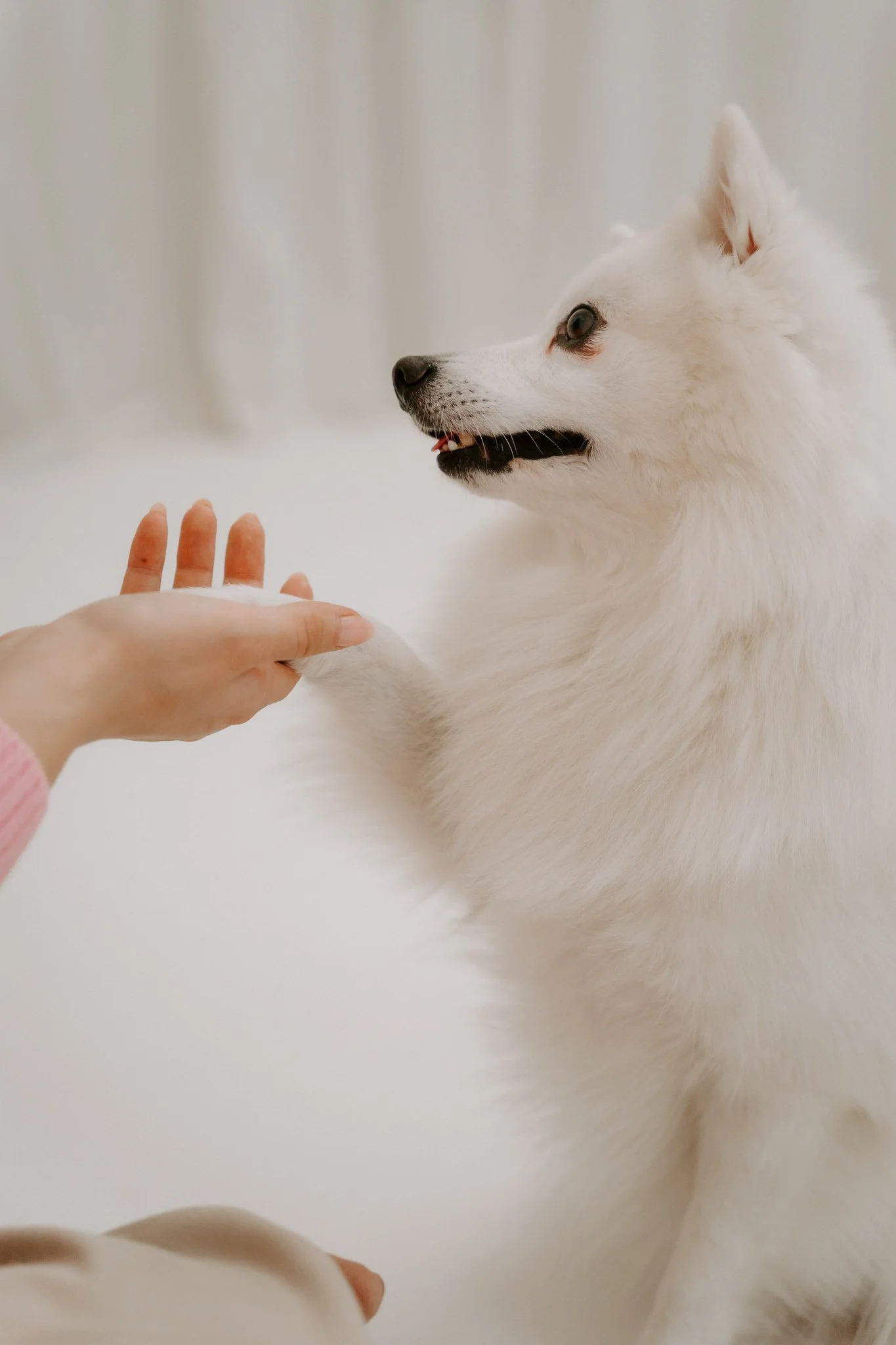 Babybauchshooting Köln (17 von 20).jpg