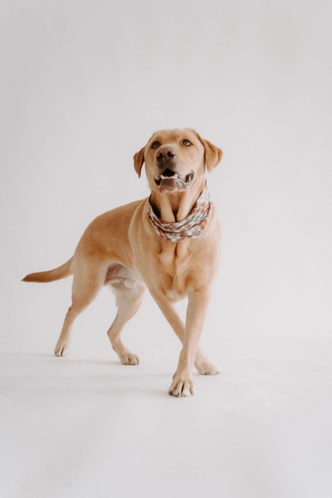 HUndefotos Köln Studio (13 von 21).jpg