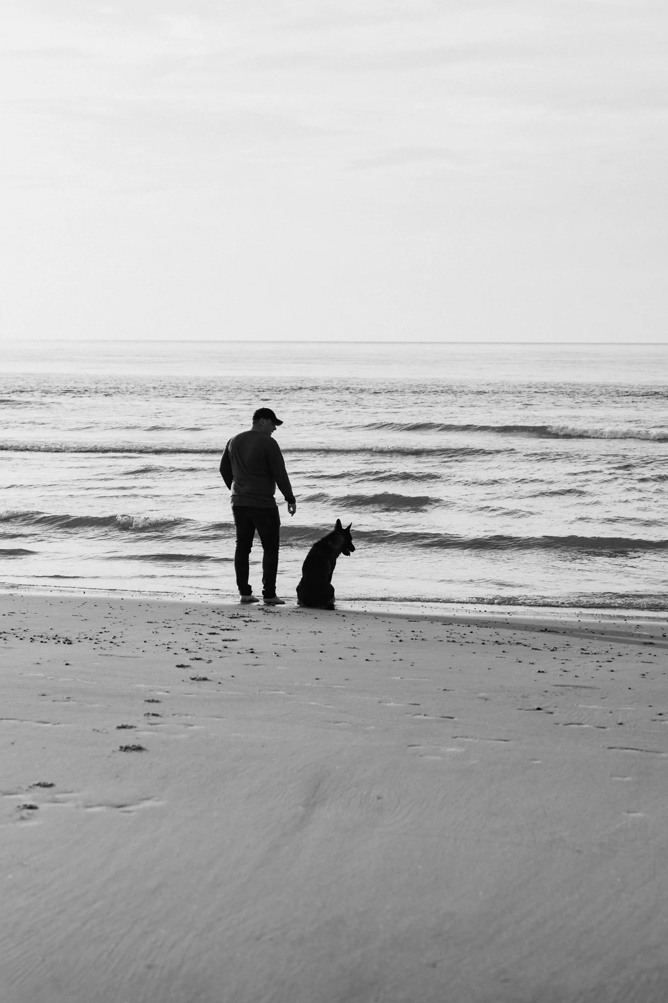 Hundefotografie Holland (2 von 21).jpg