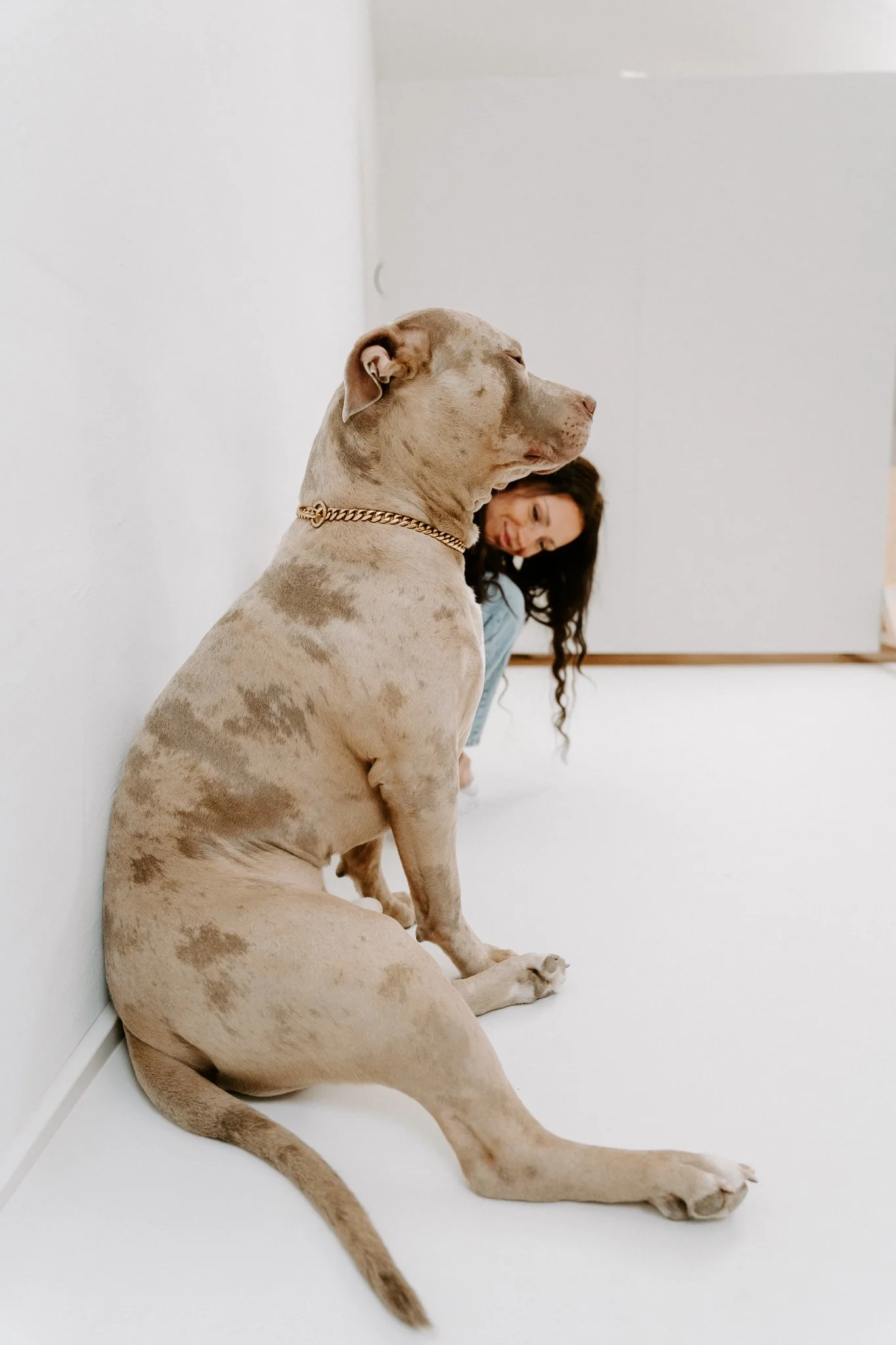 Hundefotografin Köln (8 von 25).jpg