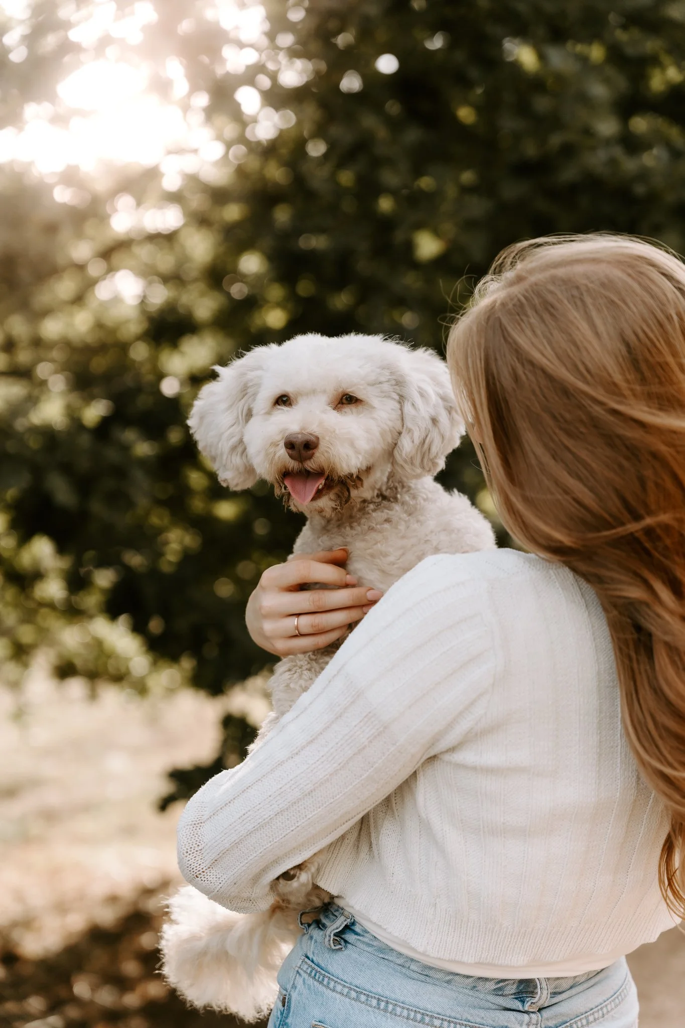 Hundefotografie Köln outdoor (34 von 130).jpg