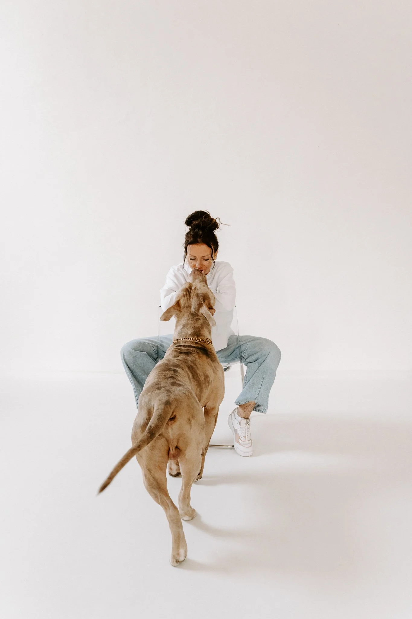 Hundefotografin Köln (22 von 25).jpg
