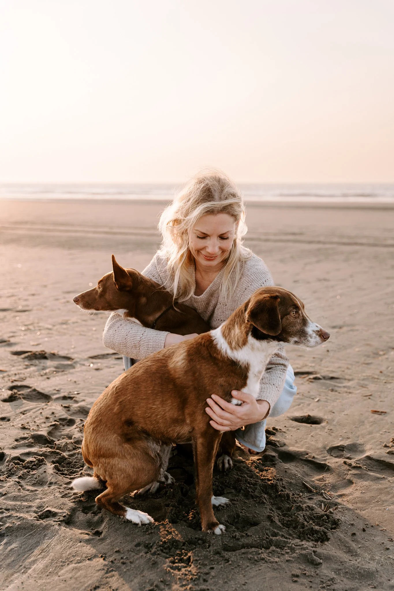 Hundefotografie Holland (1 von 1)-2.jpg