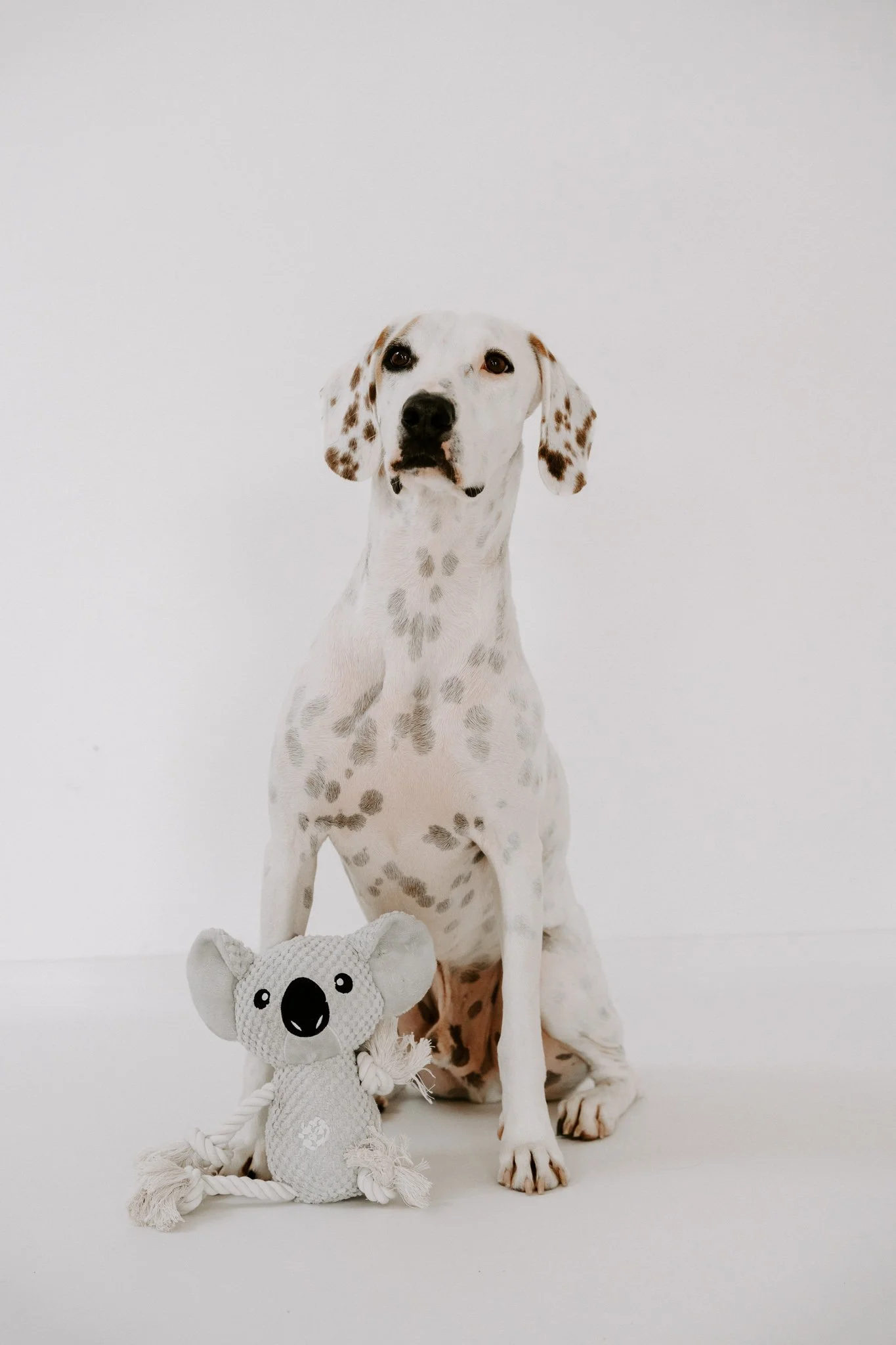 Hundeshooting in Bergisch Gladbach(87 von 144).jpg