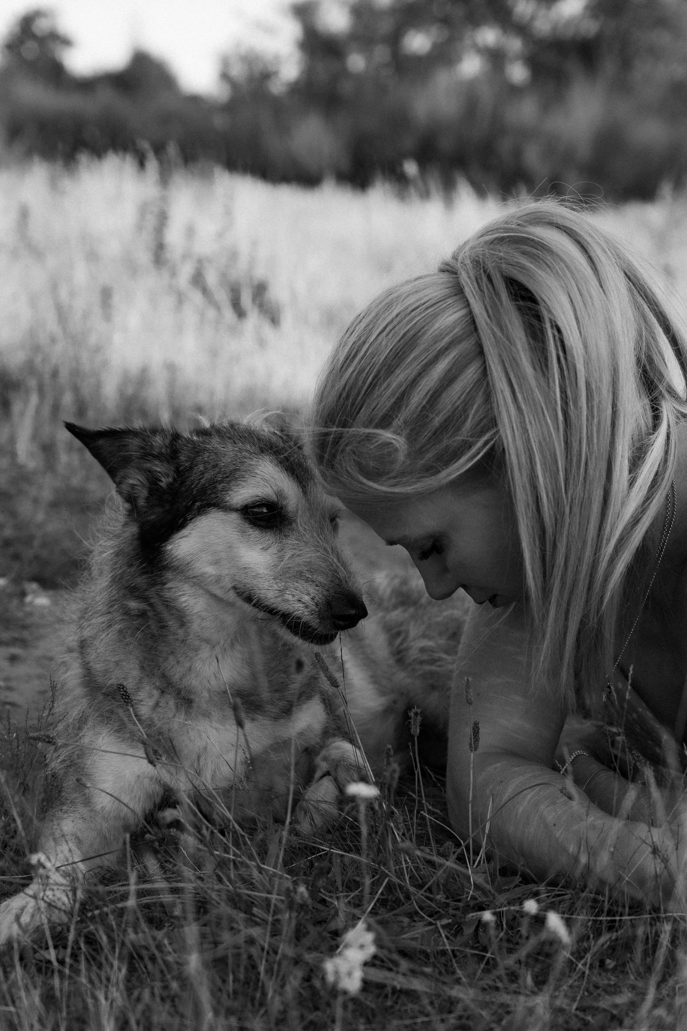 Hundefotografie Köln - Seniorhunde (17 von 35).jpg