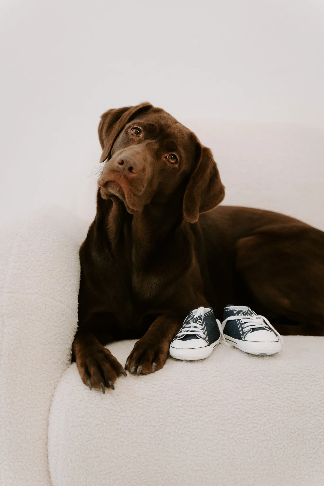 Babybauchshooting mit Hund Köln (2 von 35).jpg