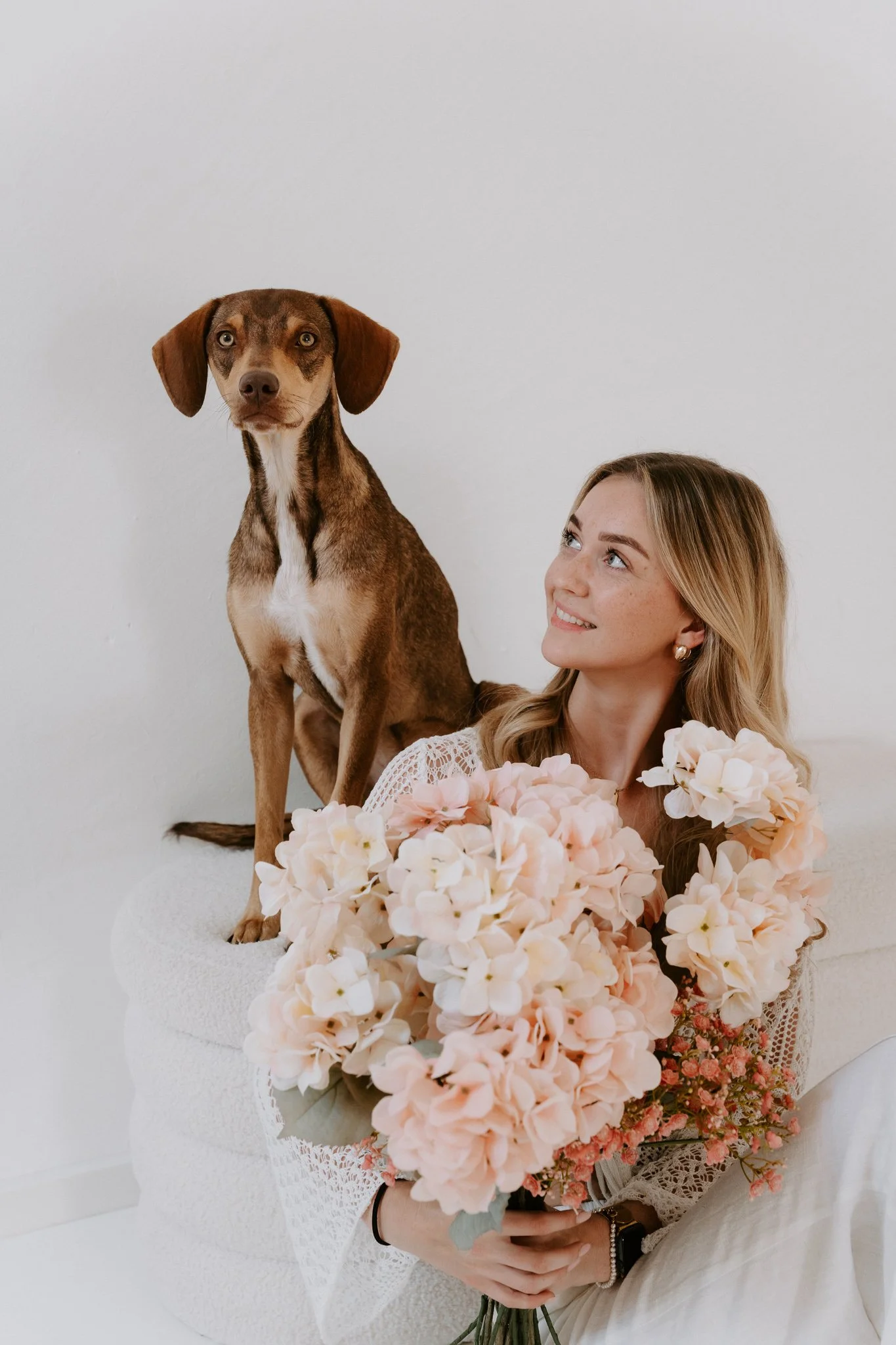 Hundefotografie indoor clean (1 von 2).jpg