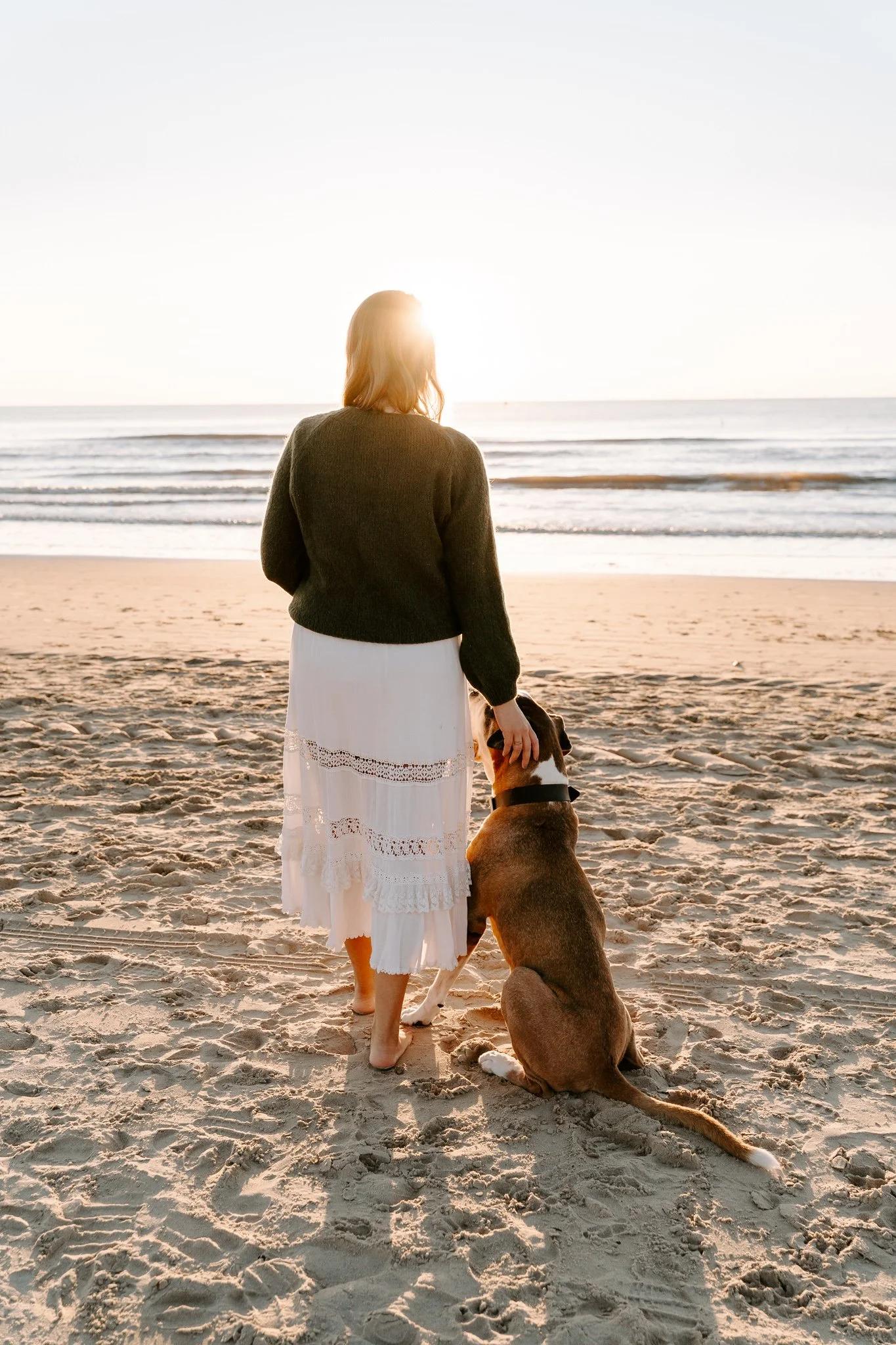 Hundefotografie Holland(5 von 10).jpg