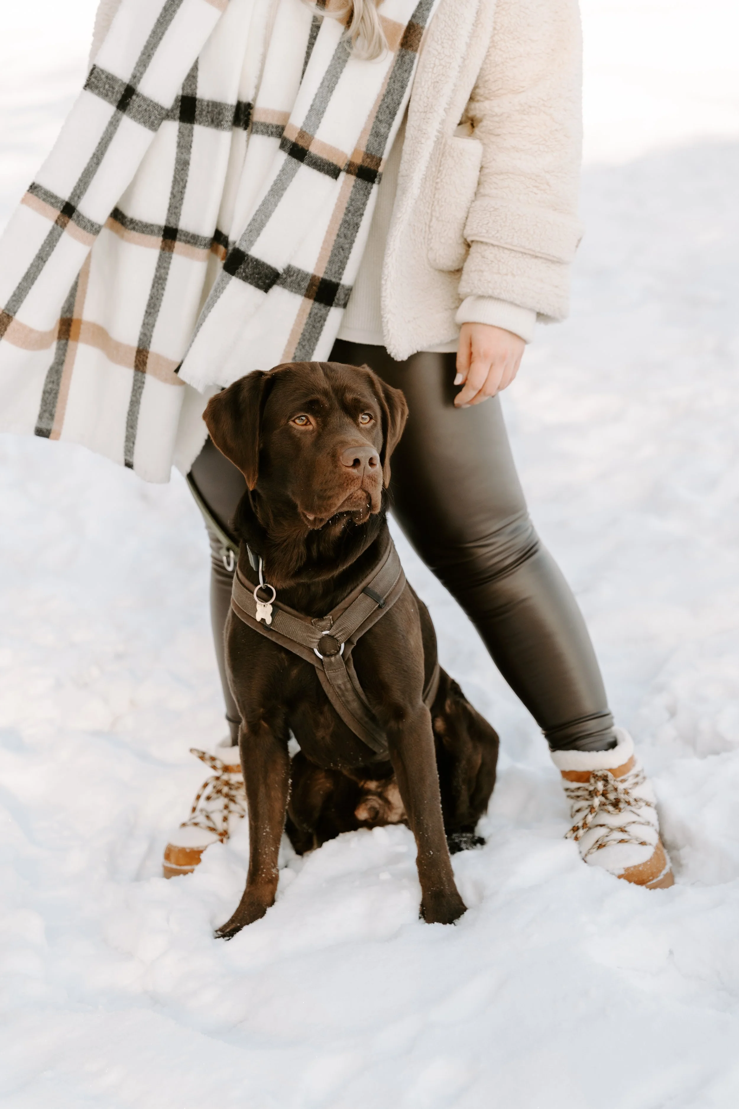 Hundefotografin Köln (1 von 6).jpg