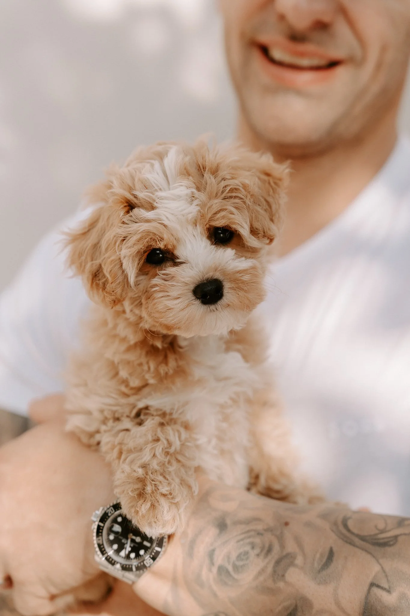 Hundefotografie Outdoor Köln(71 von 134).jpg