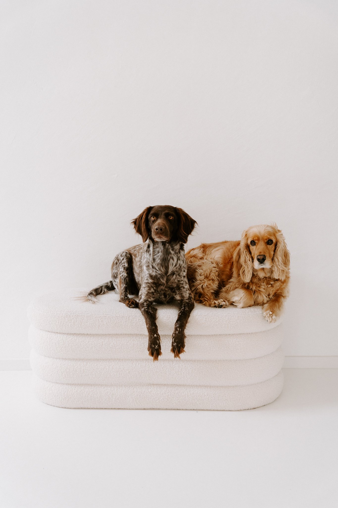 Familienshooting mit Hund Köln (8 von 41).jpg