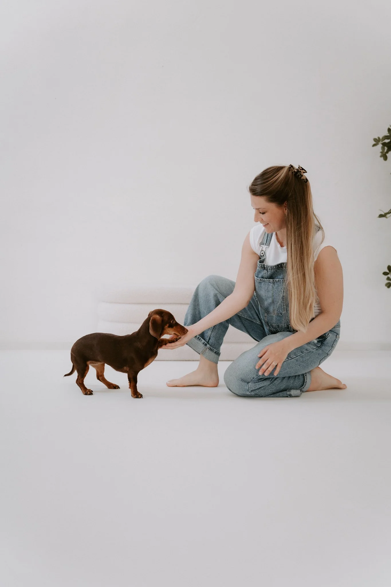Babybauchshooting mit Hund Köln(57 von 65).jpg