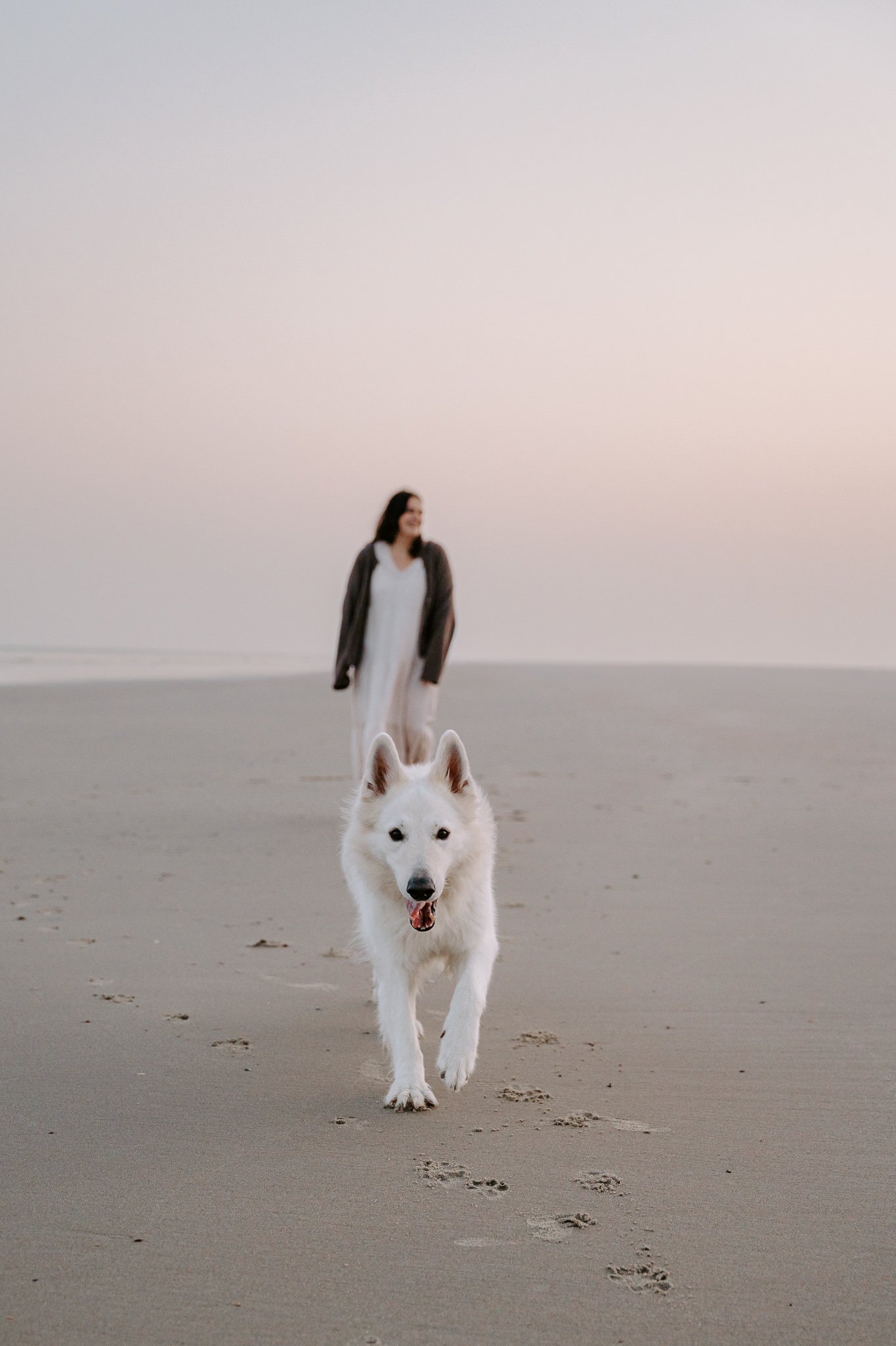 Hundefotografie Holland (3 von 13).jpg