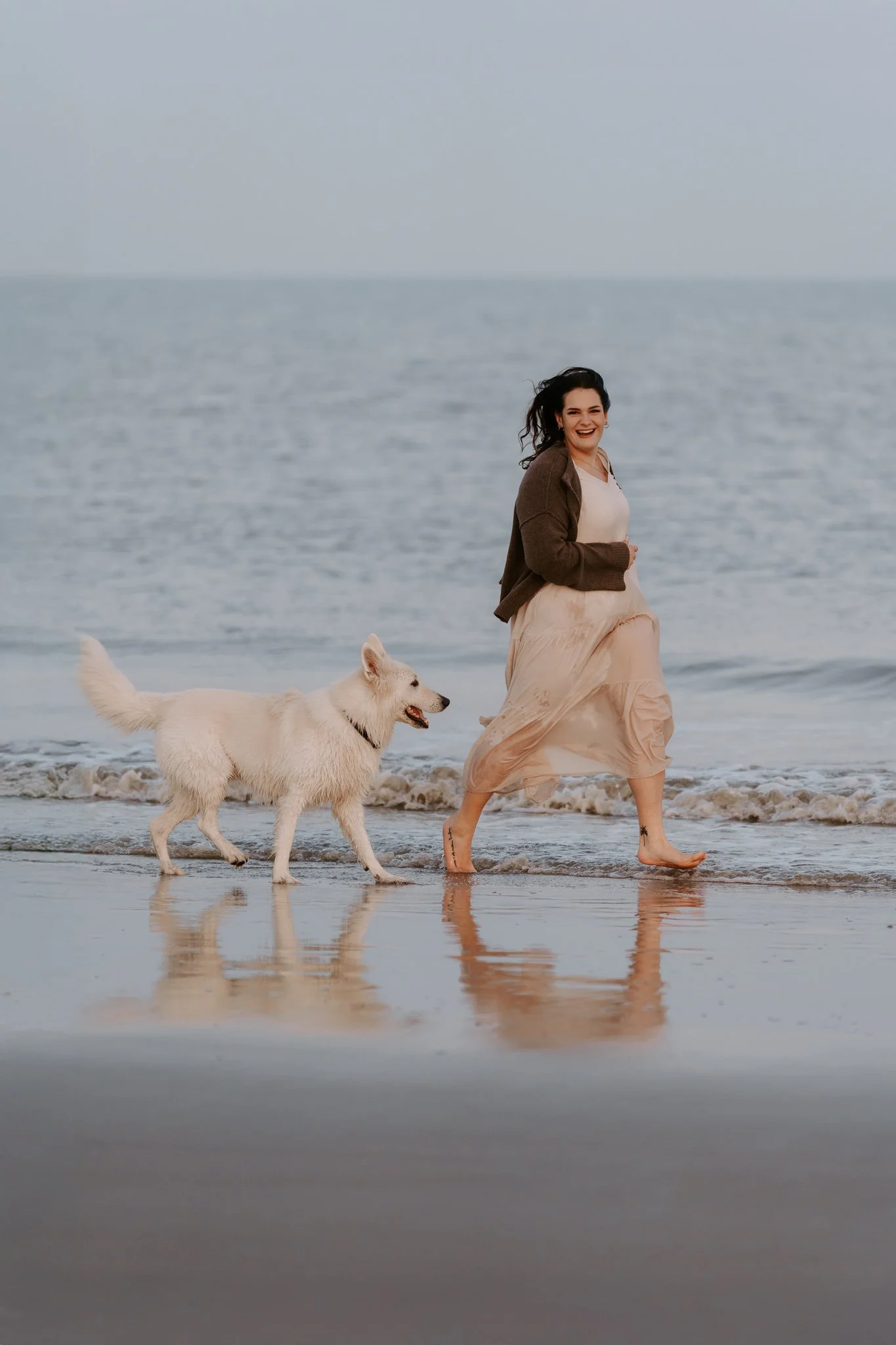 Hundefotografie Holland (4 von 5).jpg