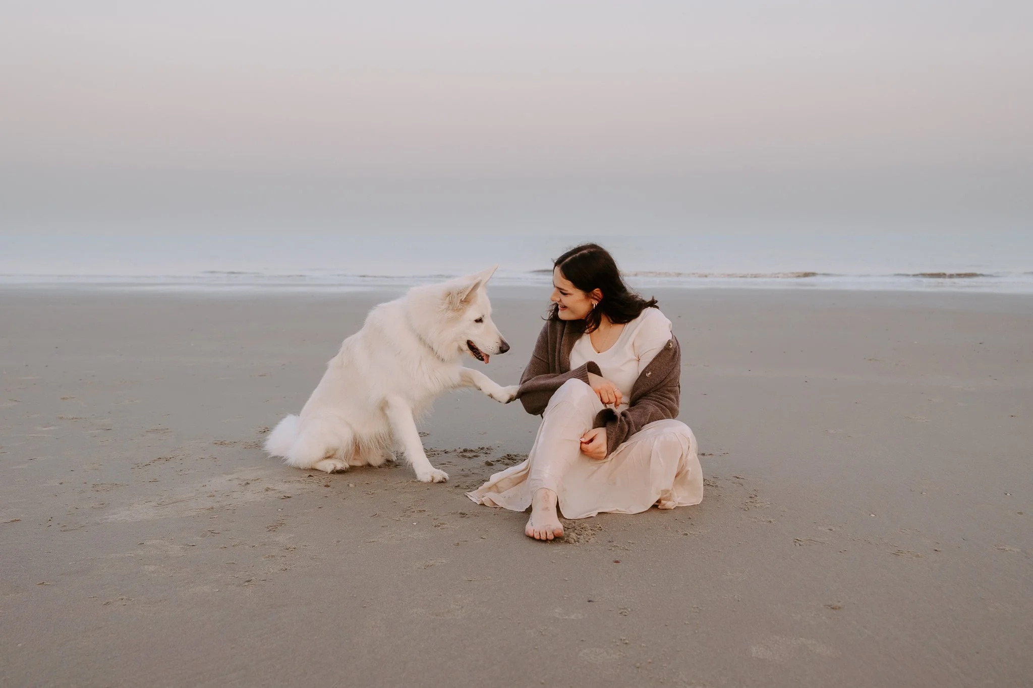 Hundefotografie Holland (11 von 13).jpg