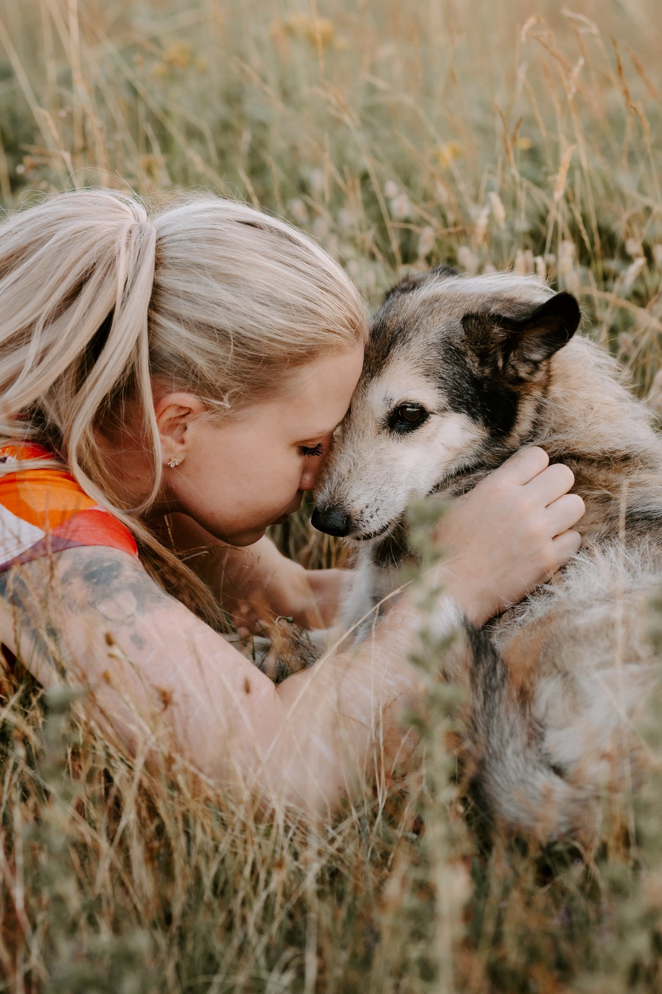 Hundefotografie Köln - Seniorhunde (35 von 35).jpg