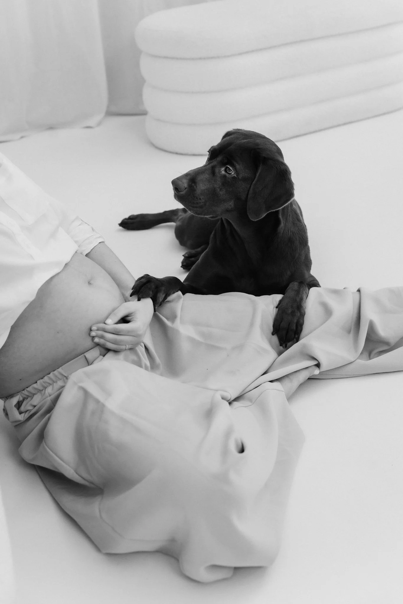 Babybauchshooting mit Hund Köln (13 von 35).jpg