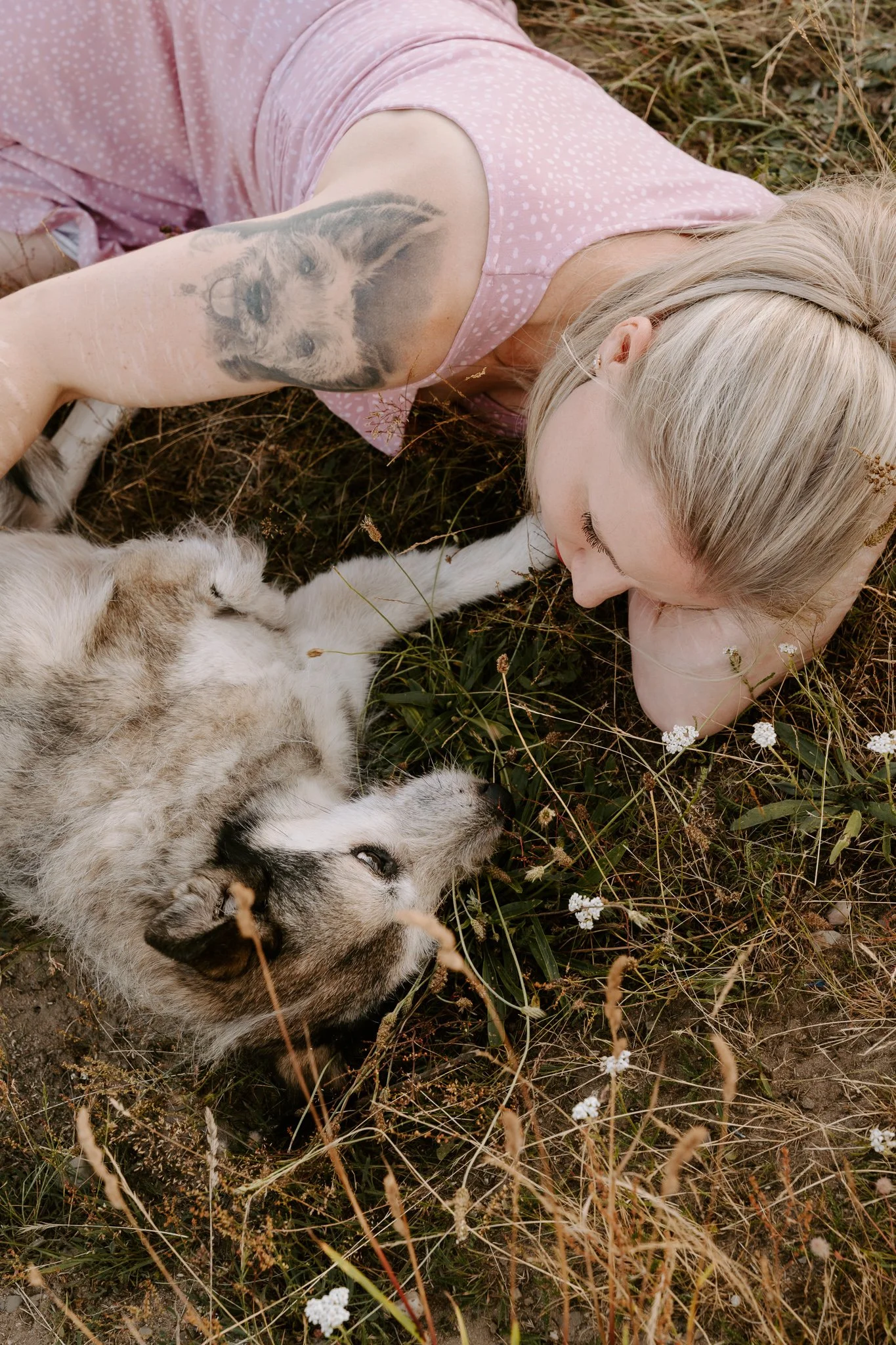 Hundefotografie Köln - Seniorhunde (13 von 35).jpg