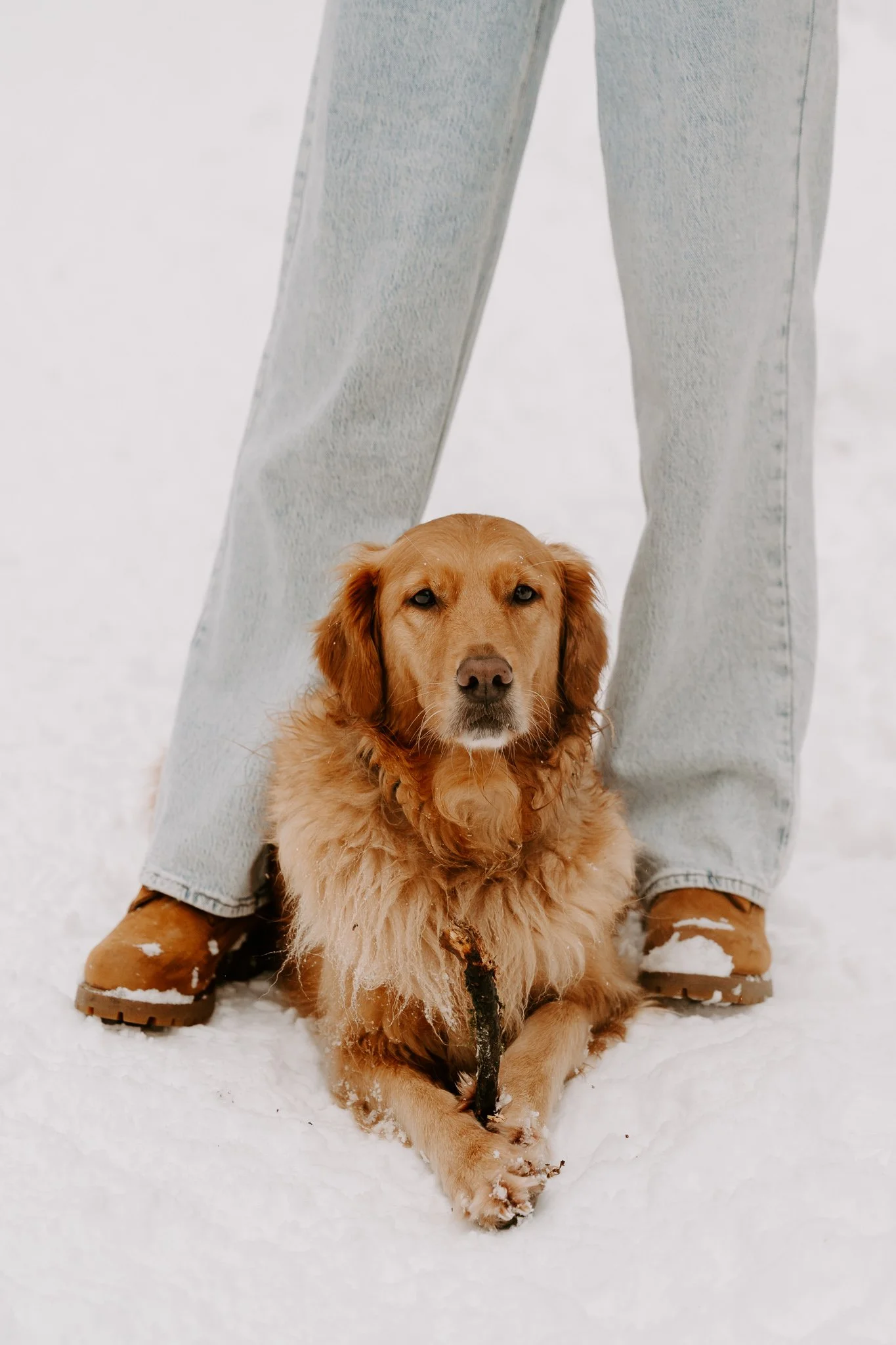 Hundefotografie Köln (42 von 77).jpg