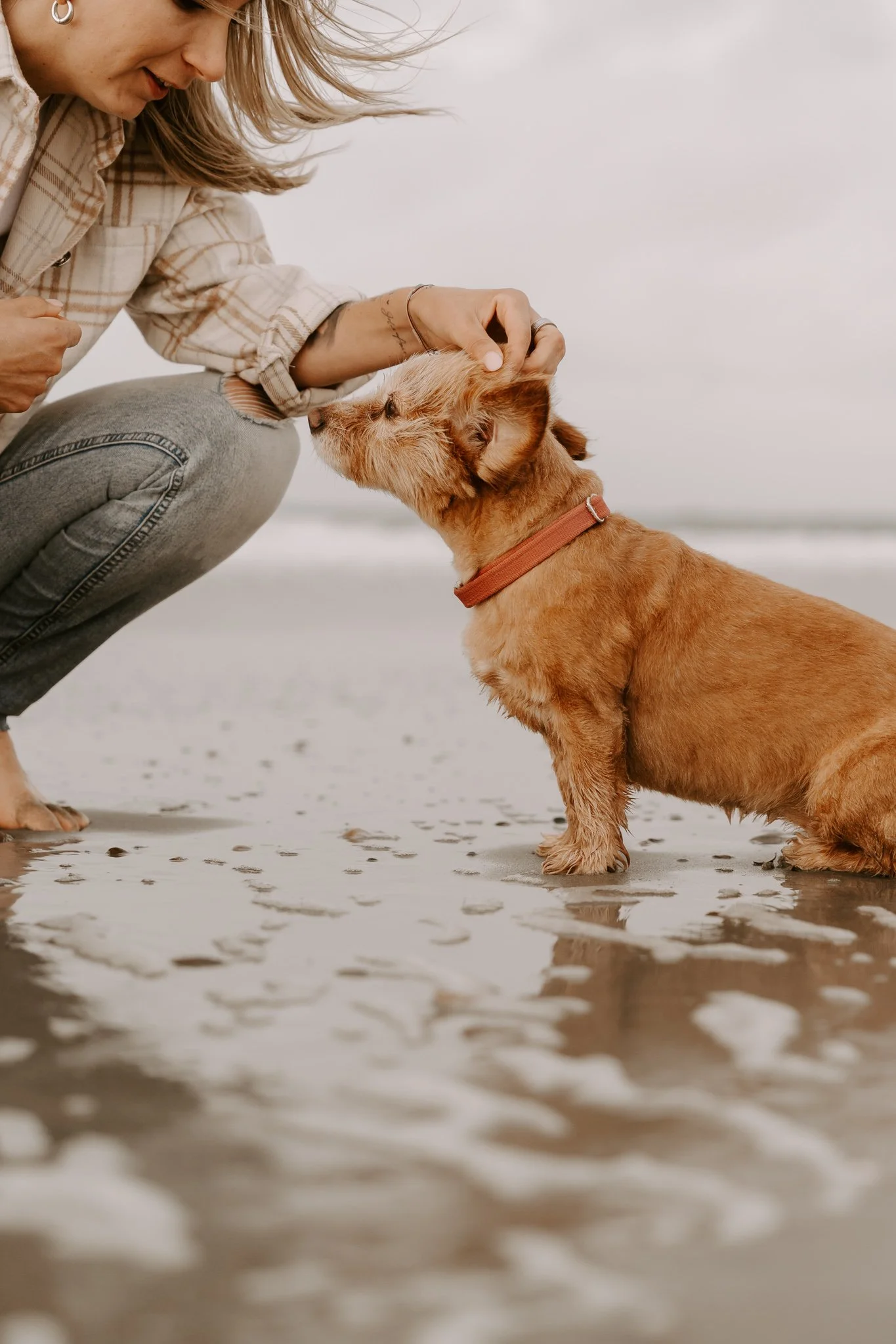 Hundefotos Holland (125 von 155).jpg