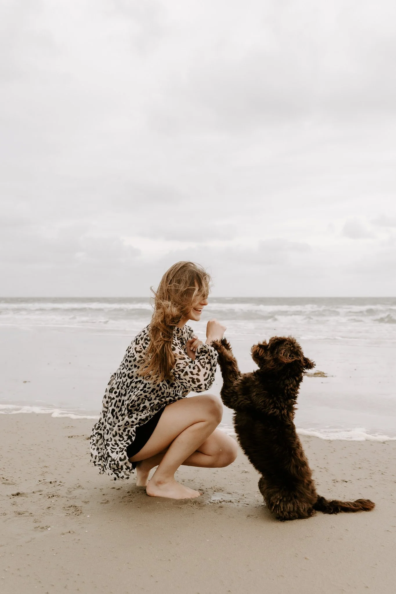Hundefotos Holland am Strand(1 von 3).jpg