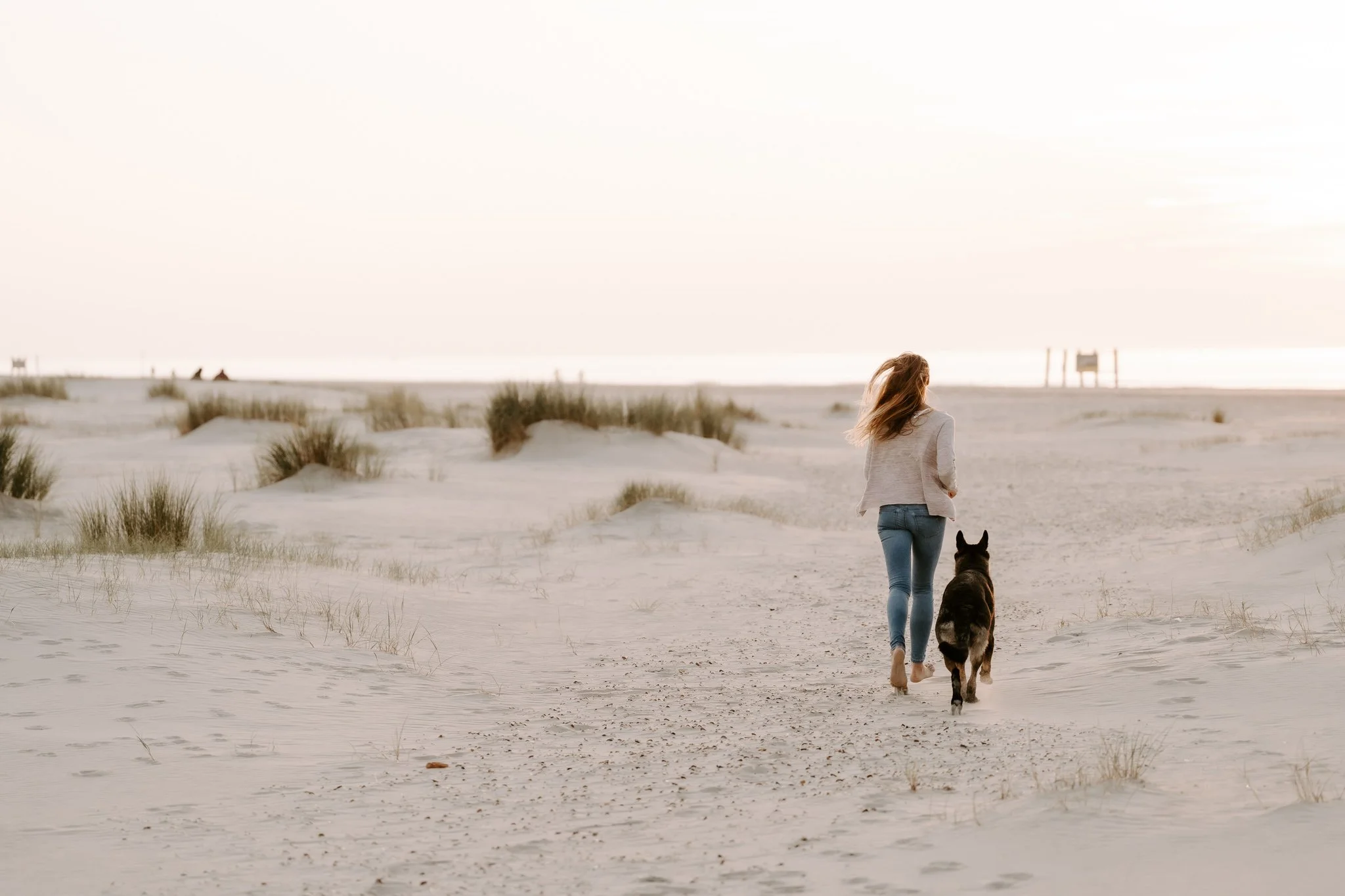 Hundefotografie Holland (17 von 21).jpg